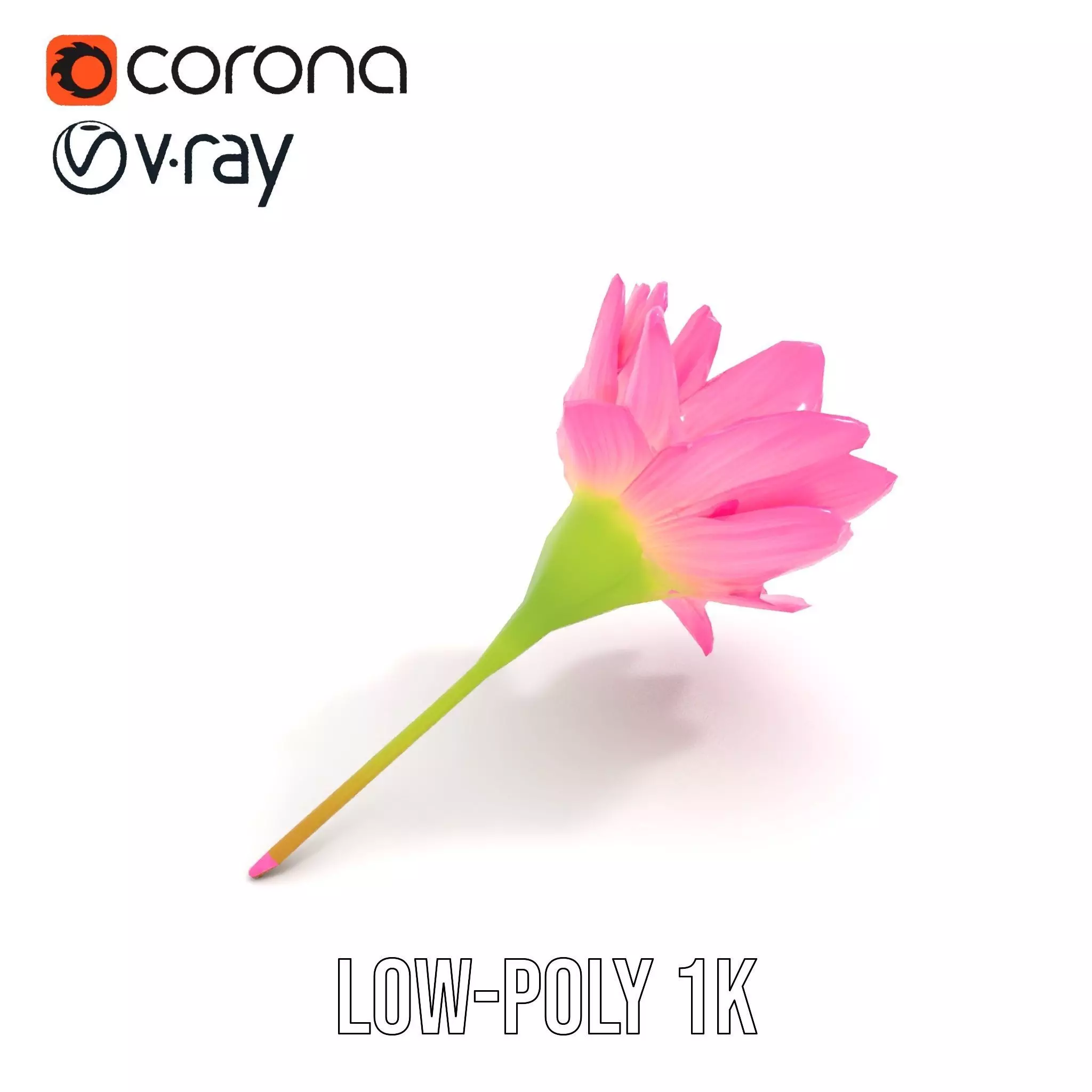 Pink Petal Blossom model pack Low-poly 3D model_13