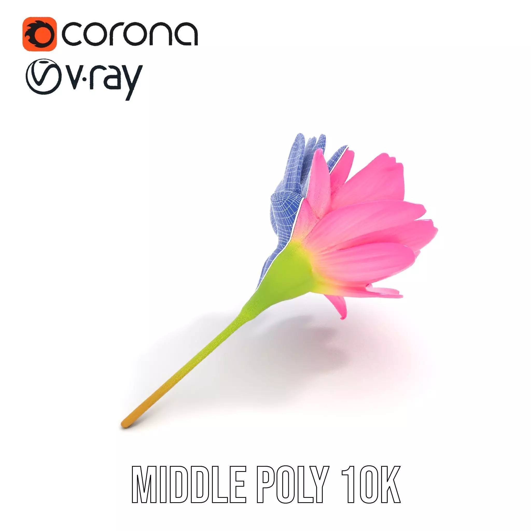 Pink Petal Blossom model pack Low-poly 3D model_19