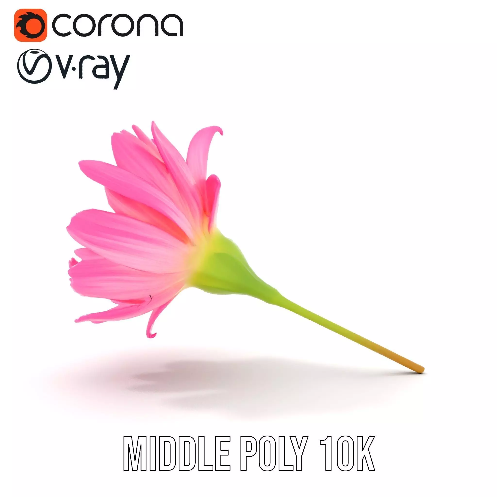 Pink Petal Blossom model pack Low-poly 3D model_7