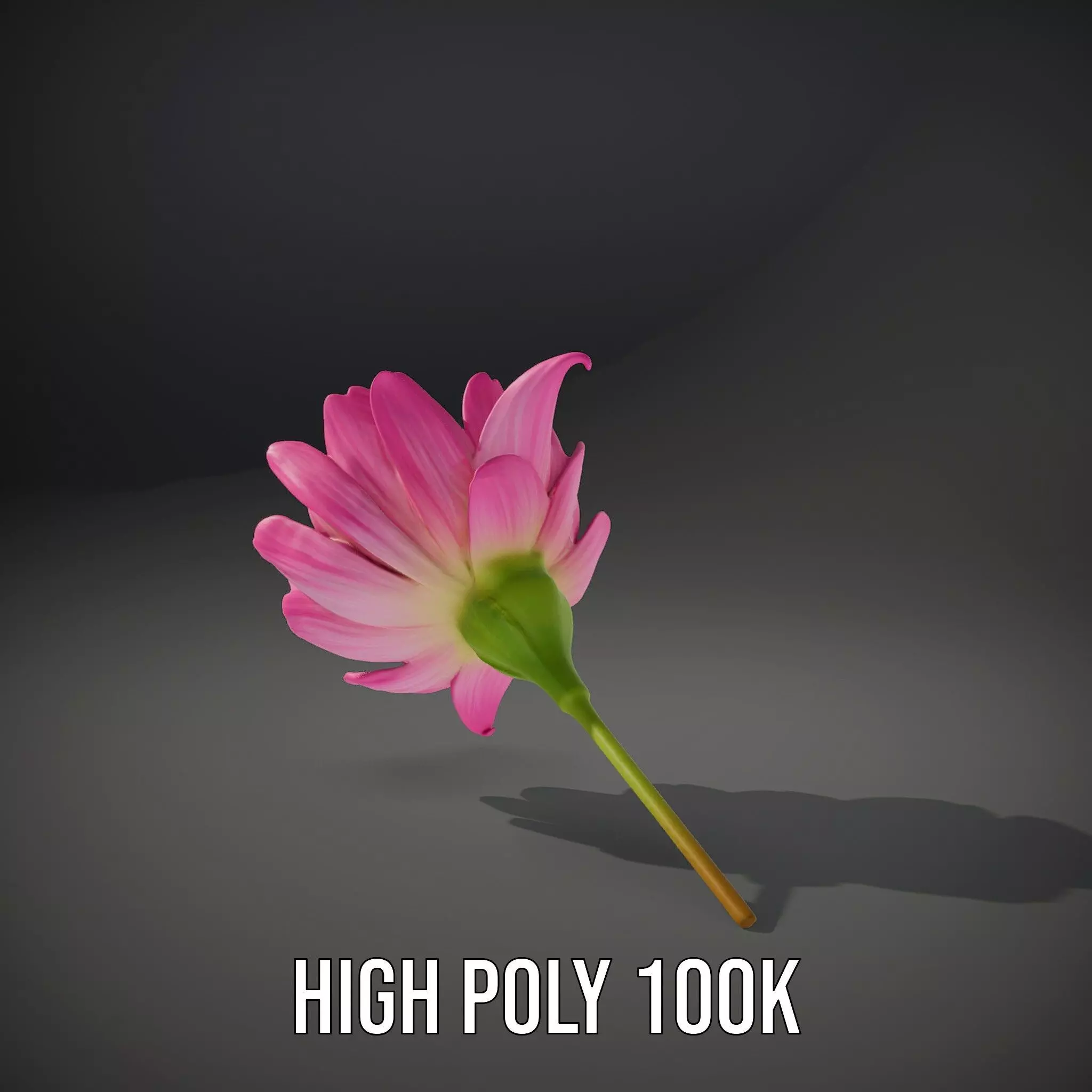 Pink Petal Blossom model pack Low-poly 3D model_11