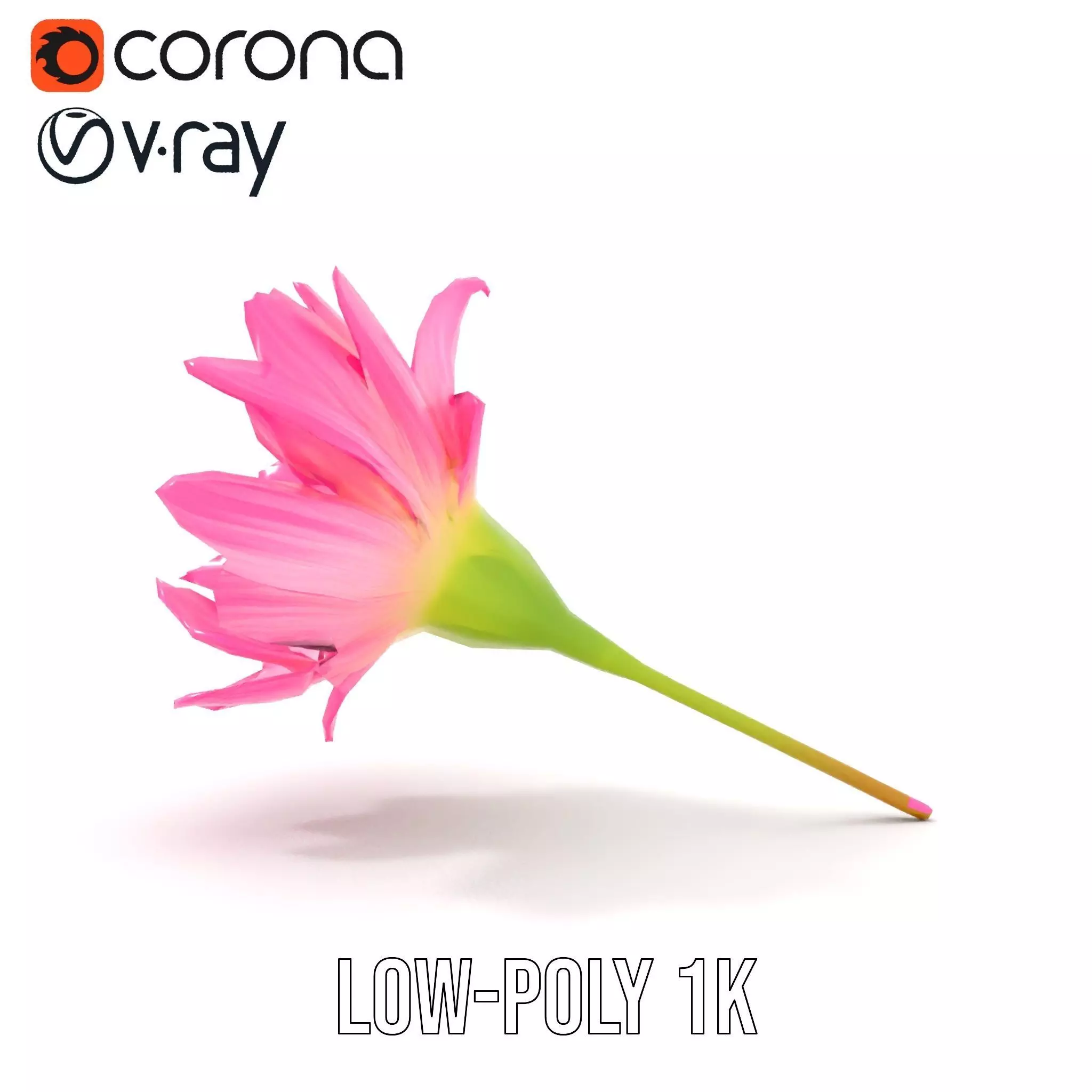 Pink Petal Blossom model pack Low-poly 3D model_17