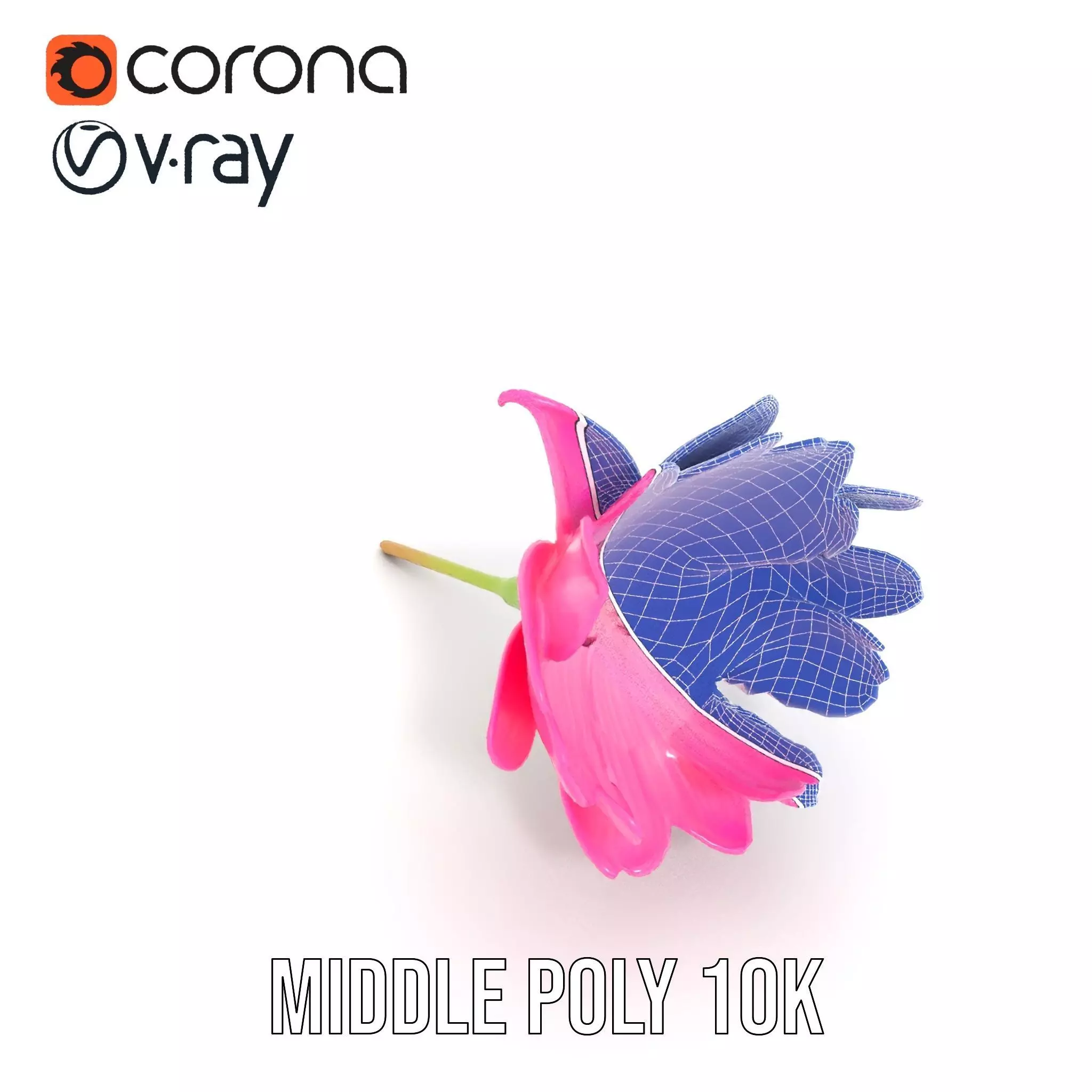 Pink Petal Blossom model pack Low-poly 3D model_25