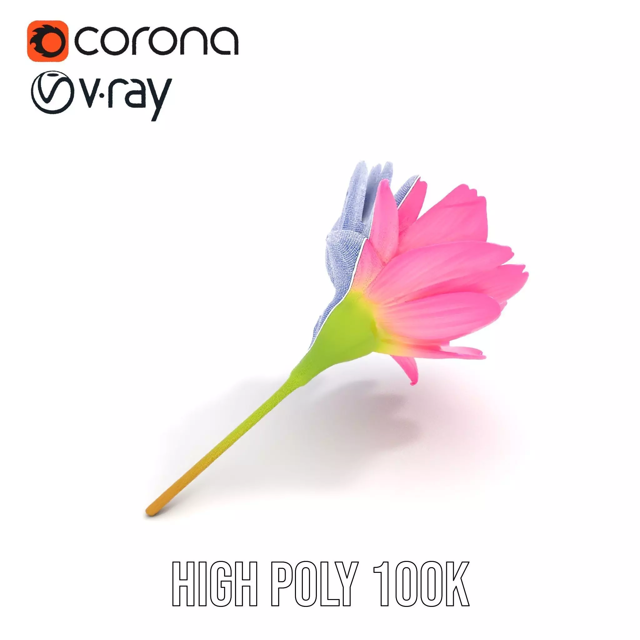 Pink Petal Blossom model pack Low-poly 3D model_35