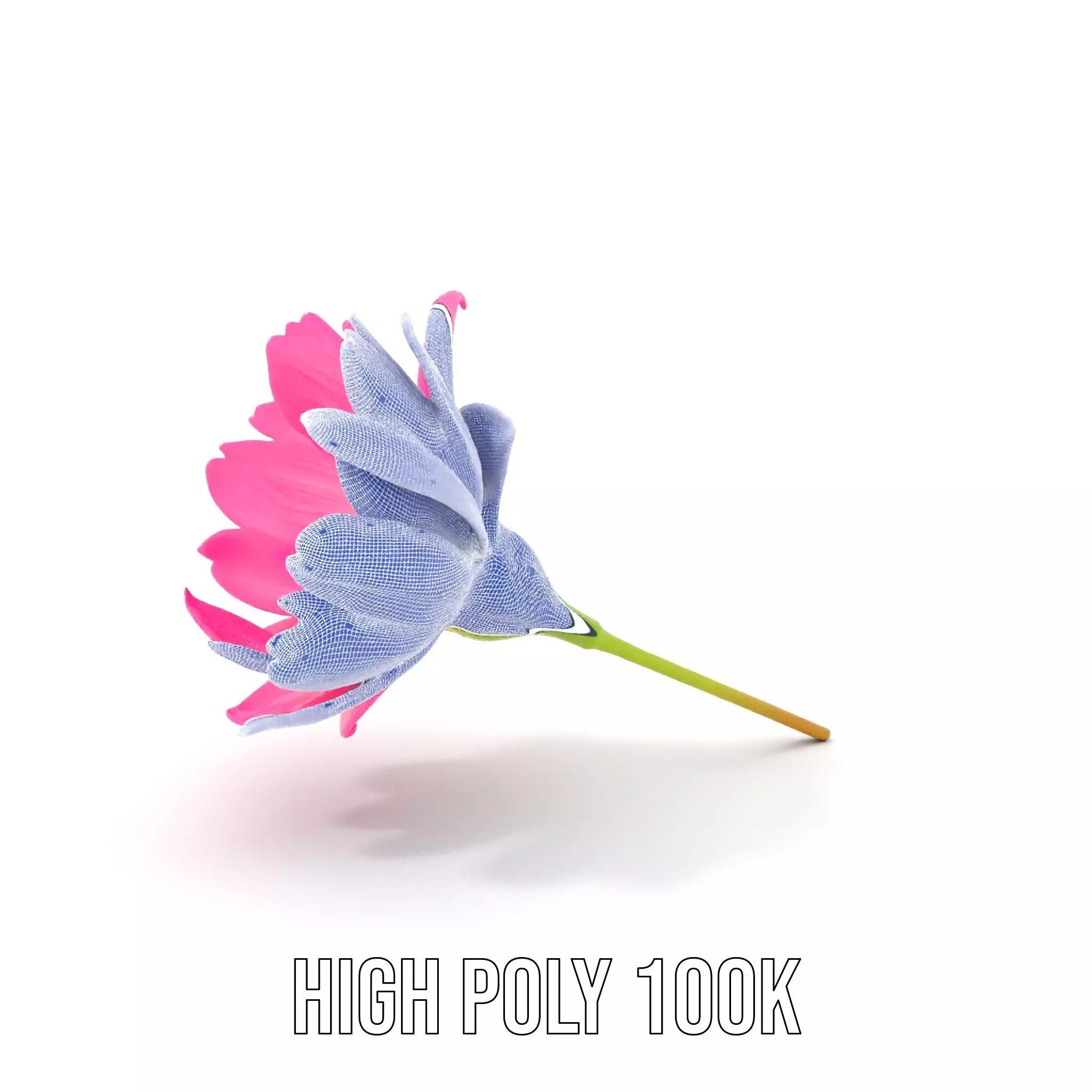 Pink Petal Blossom model pack Low-poly 3D model_5
