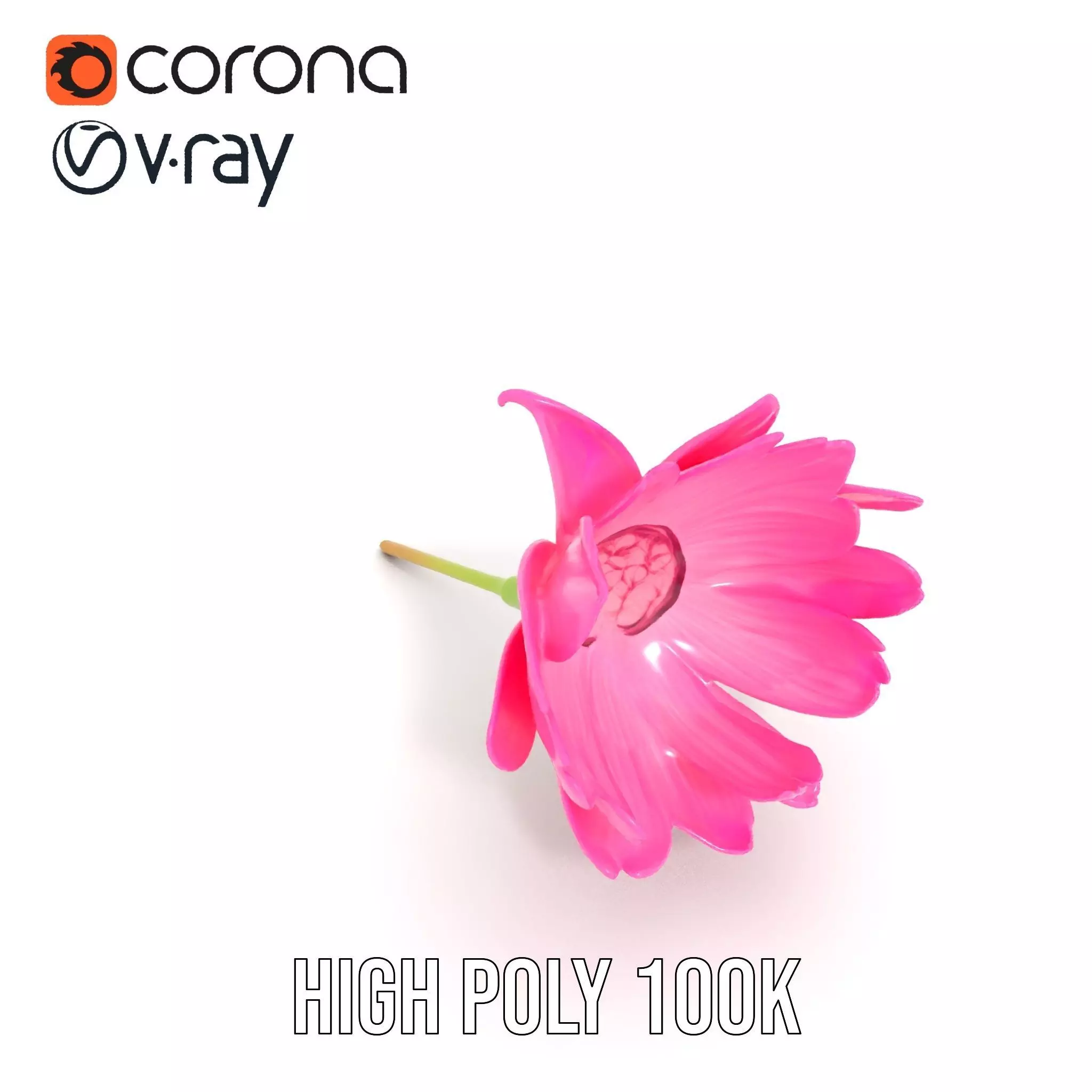 Pink Petal Blossom model pack Low-poly 3D model_24