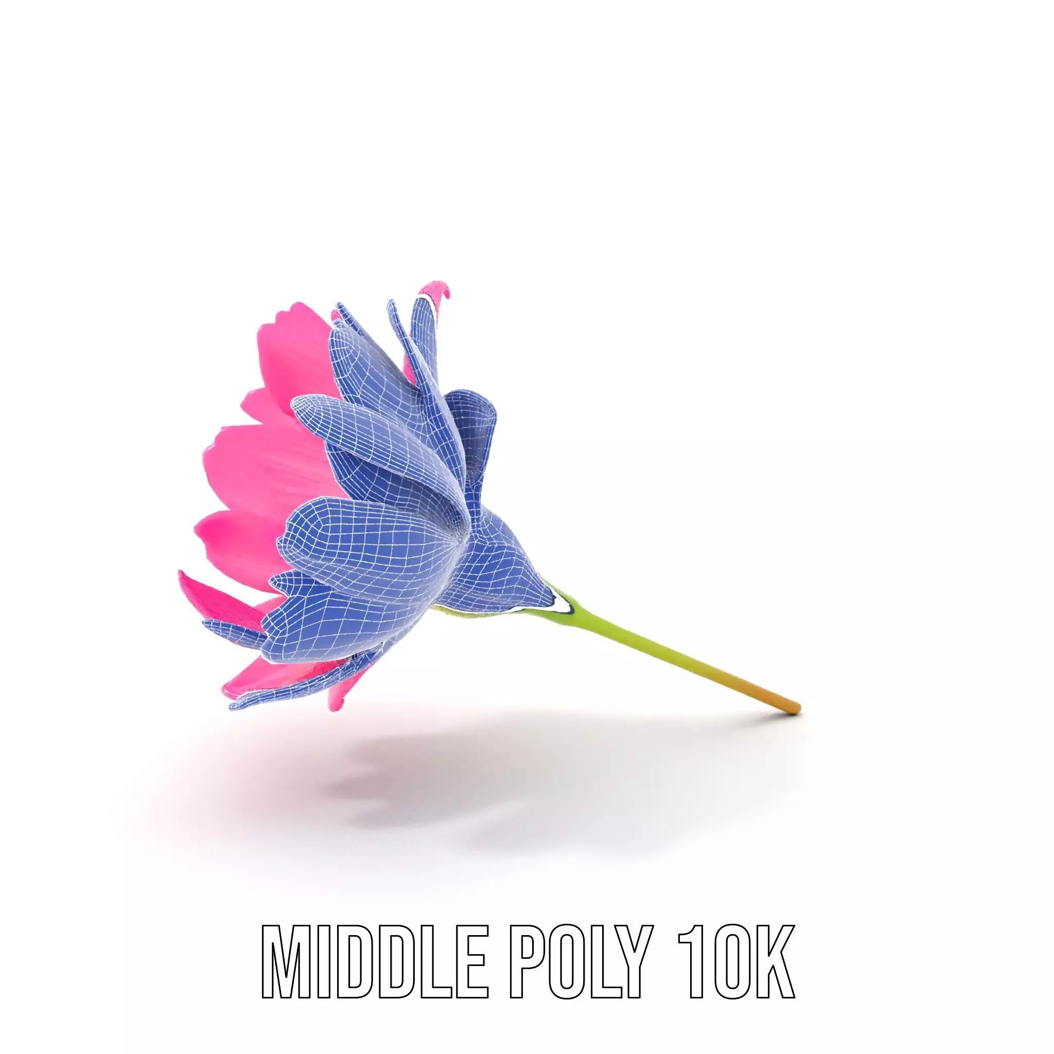 Pink Petal Blossom model pack Low-poly 3D model_22