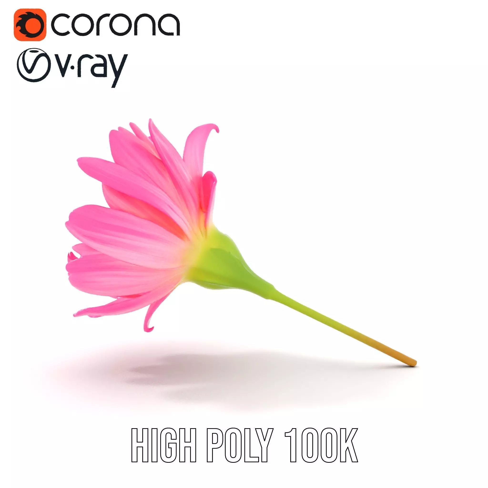 Pink Petal Blossom model pack Low-poly 3D model_18