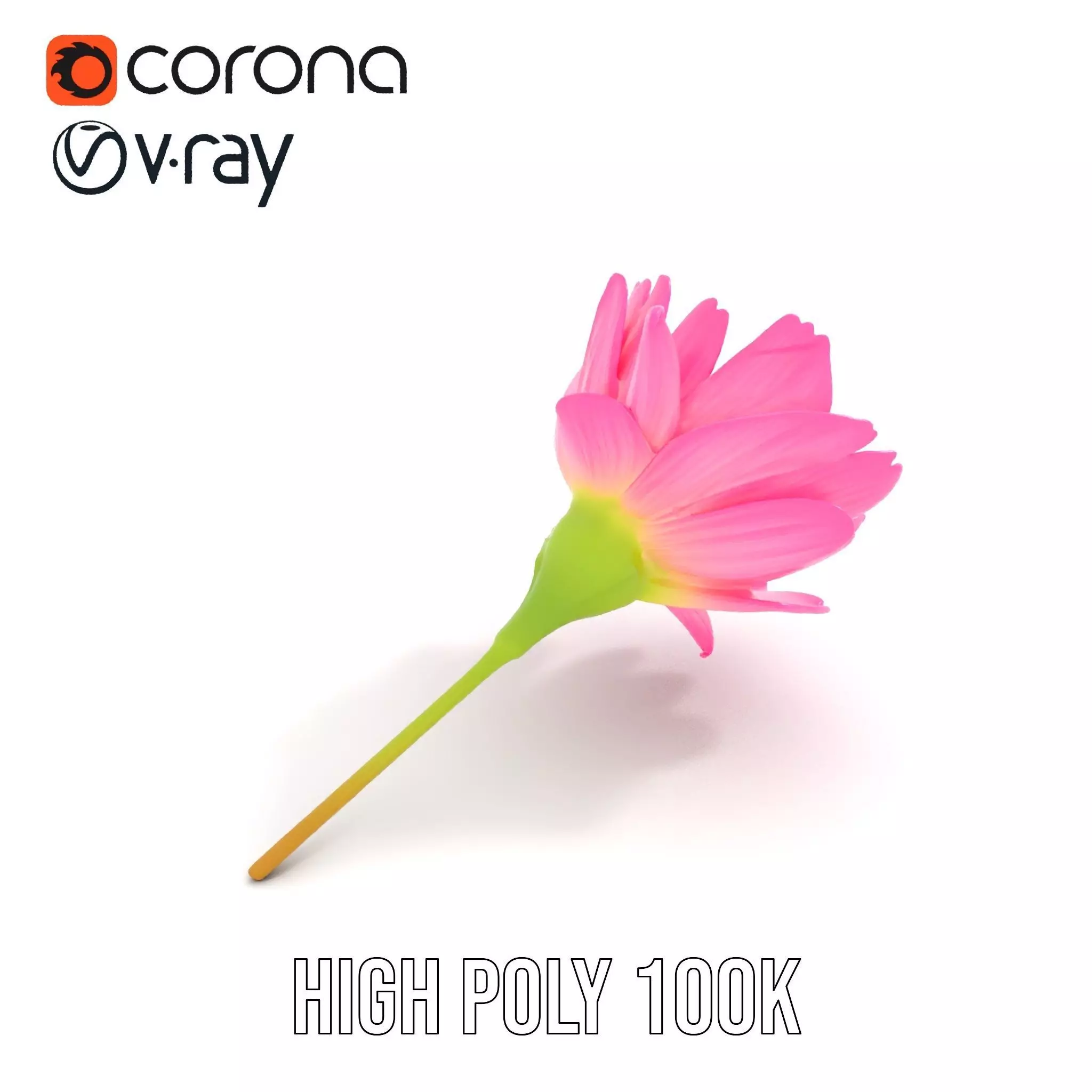 Pink Petal Blossom model pack Low-poly 3D model_21