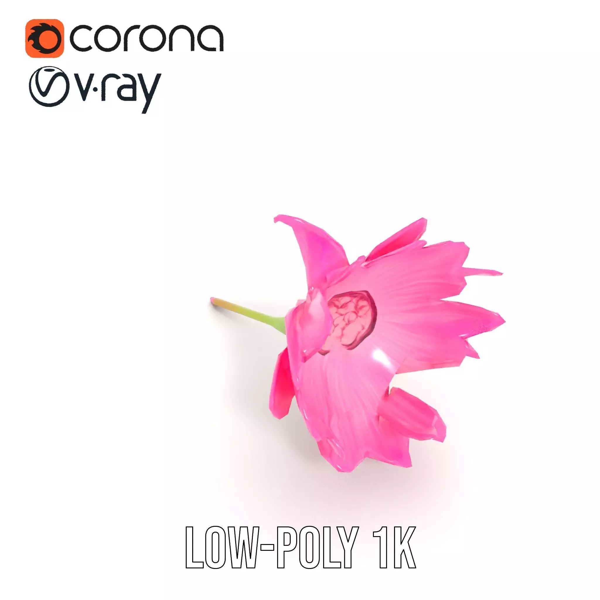 Pink Petal Blossom model pack Low-poly 3D model_23