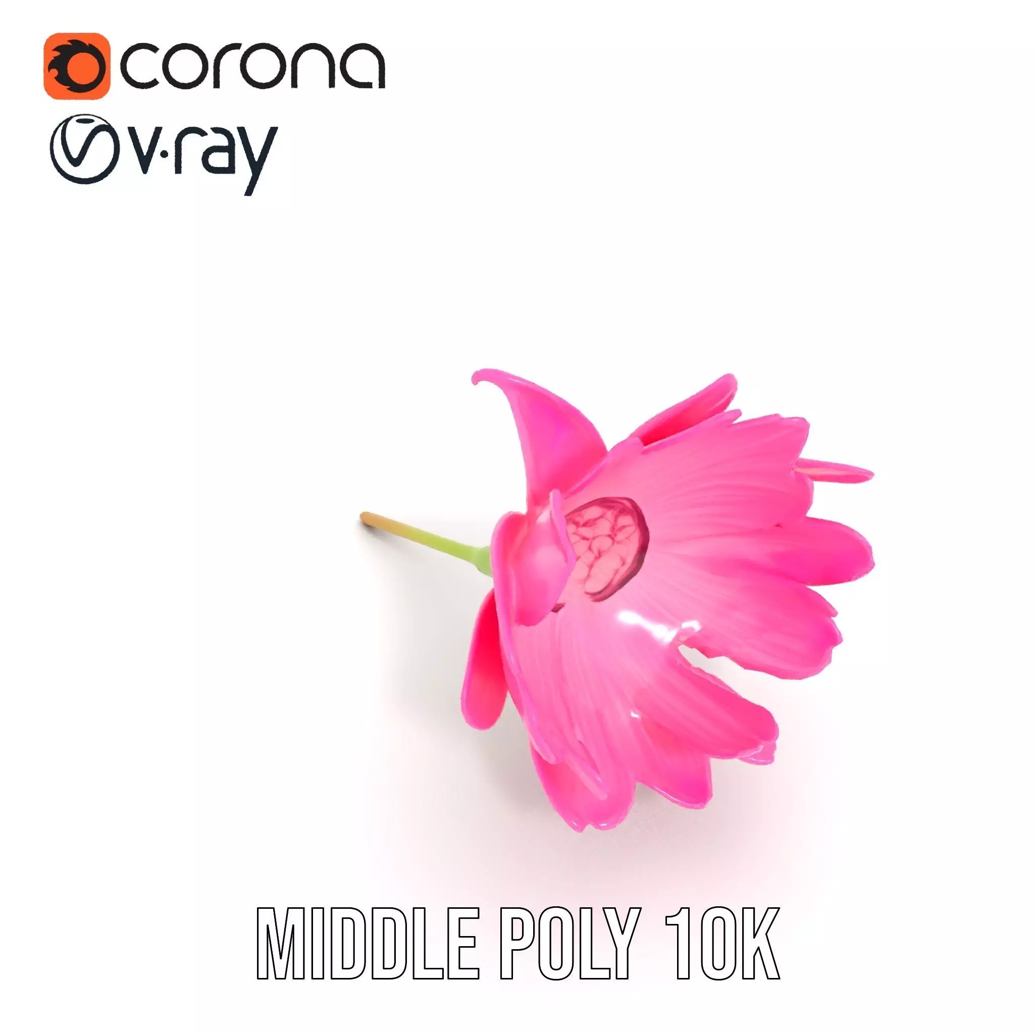 Pink Petal Blossom model pack Low-poly 3D model_16