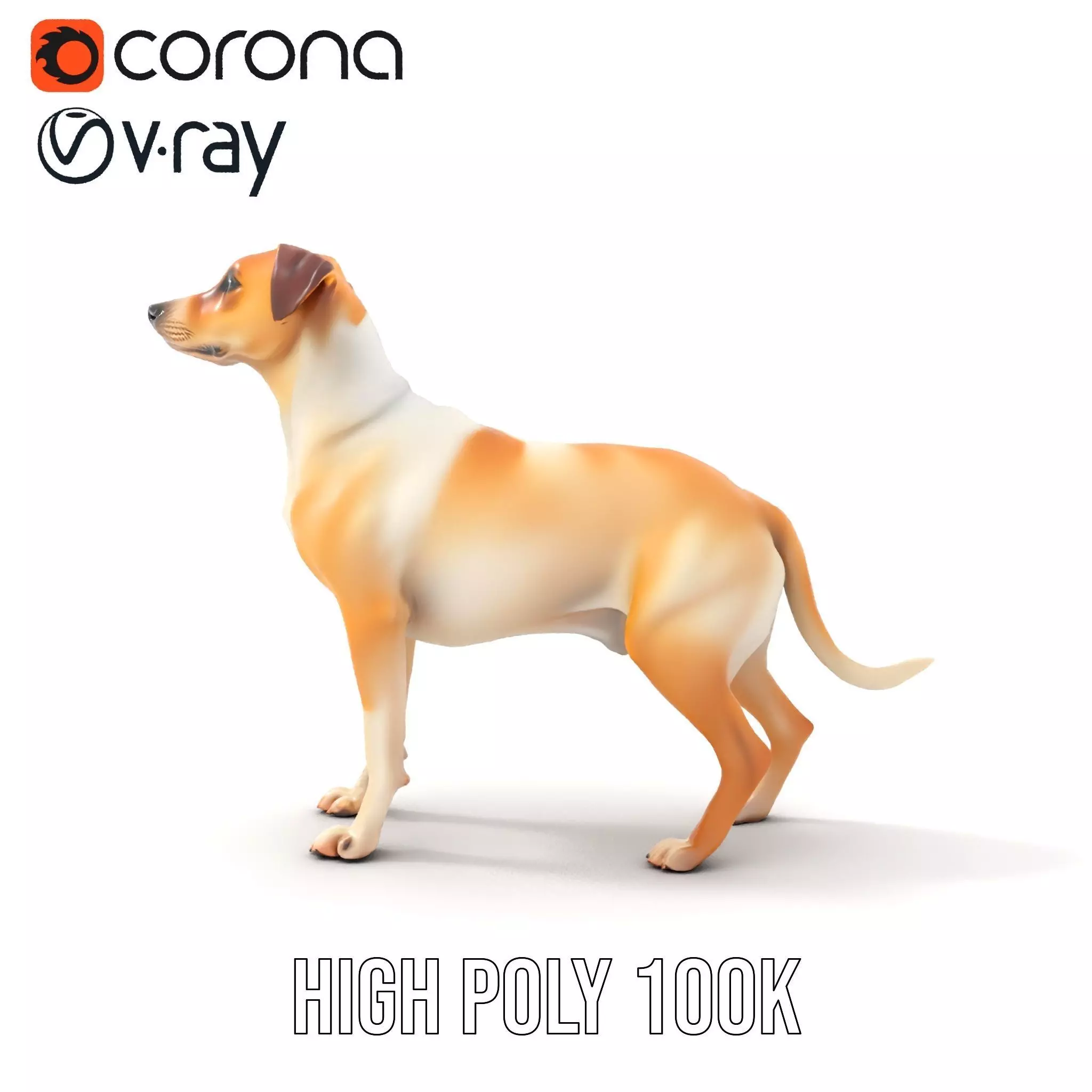 Jack Russell Terrier model pack Low-poly 3D model_26