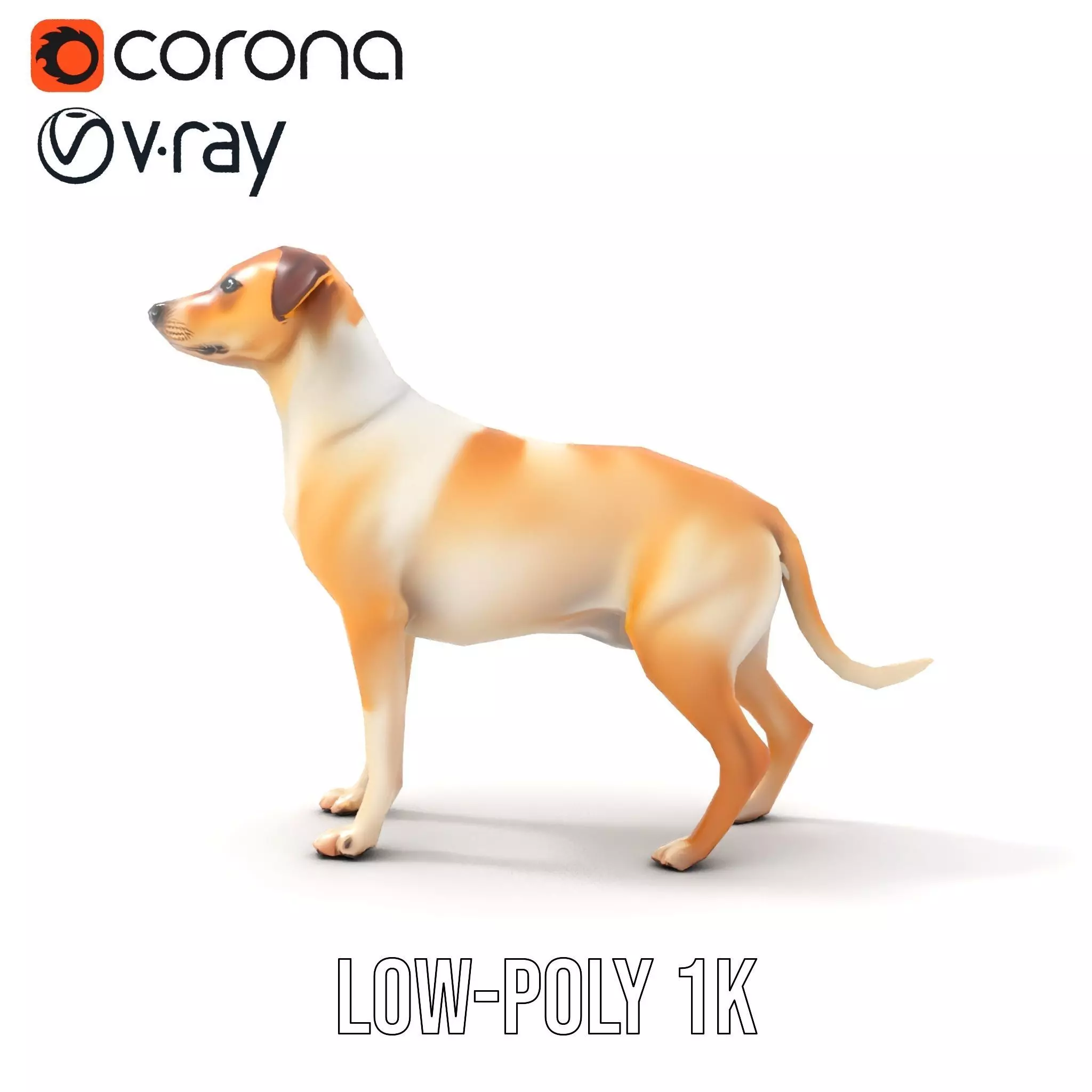 Jack Russell Terrier model pack Low-poly 3D model_28