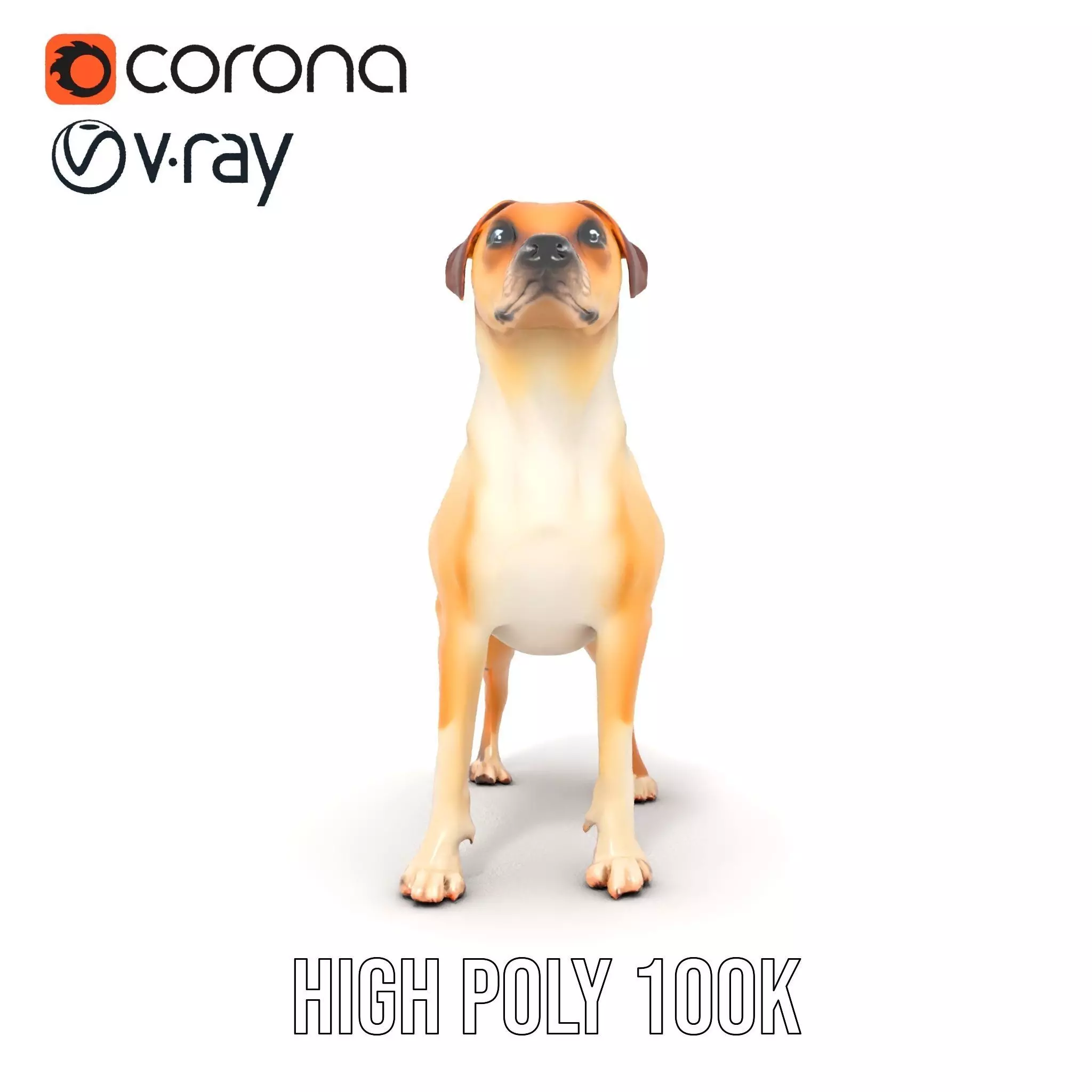 Jack Russell Terrier model pack Low-poly 3D model_29