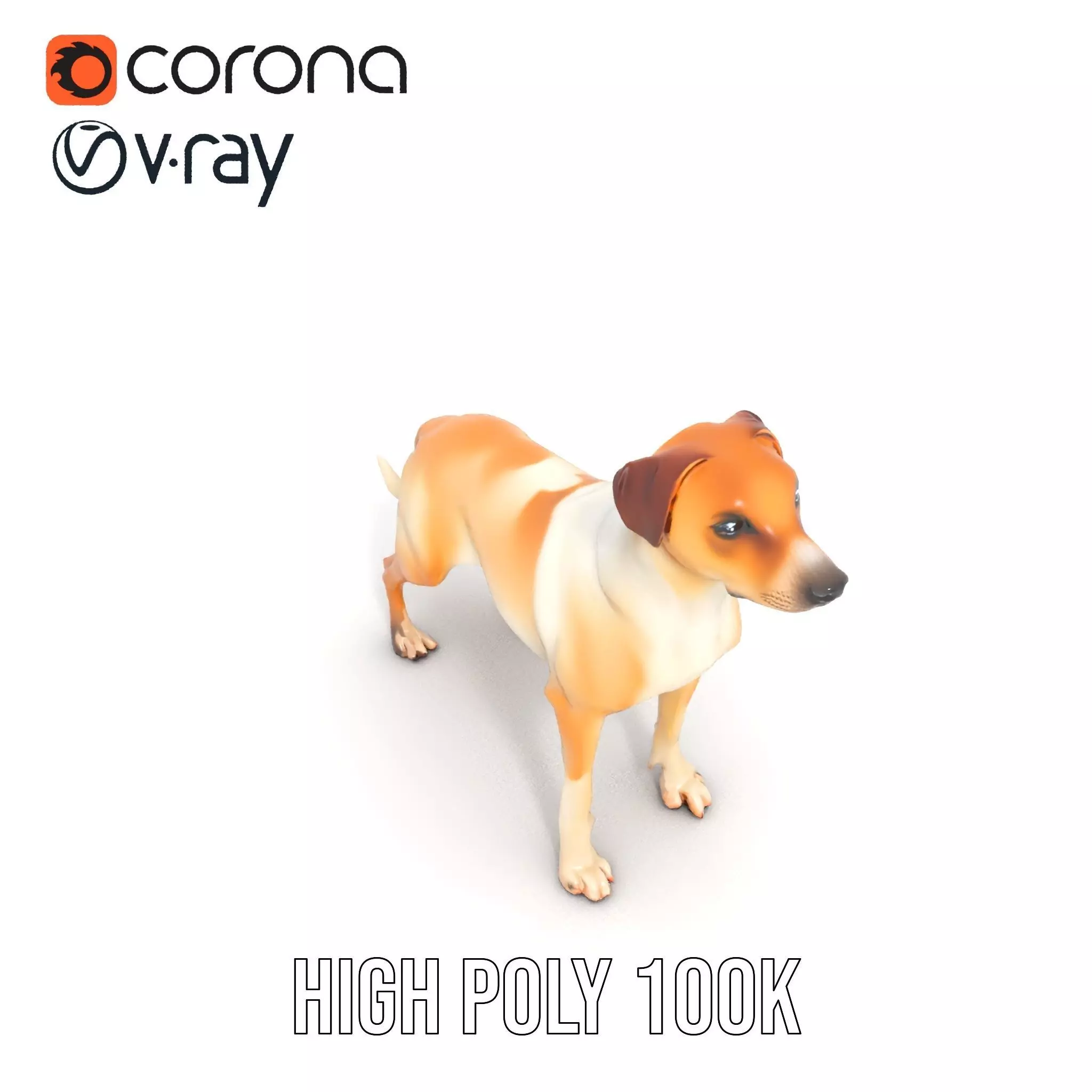 Jack Russell Terrier model pack Low-poly 3D model_16