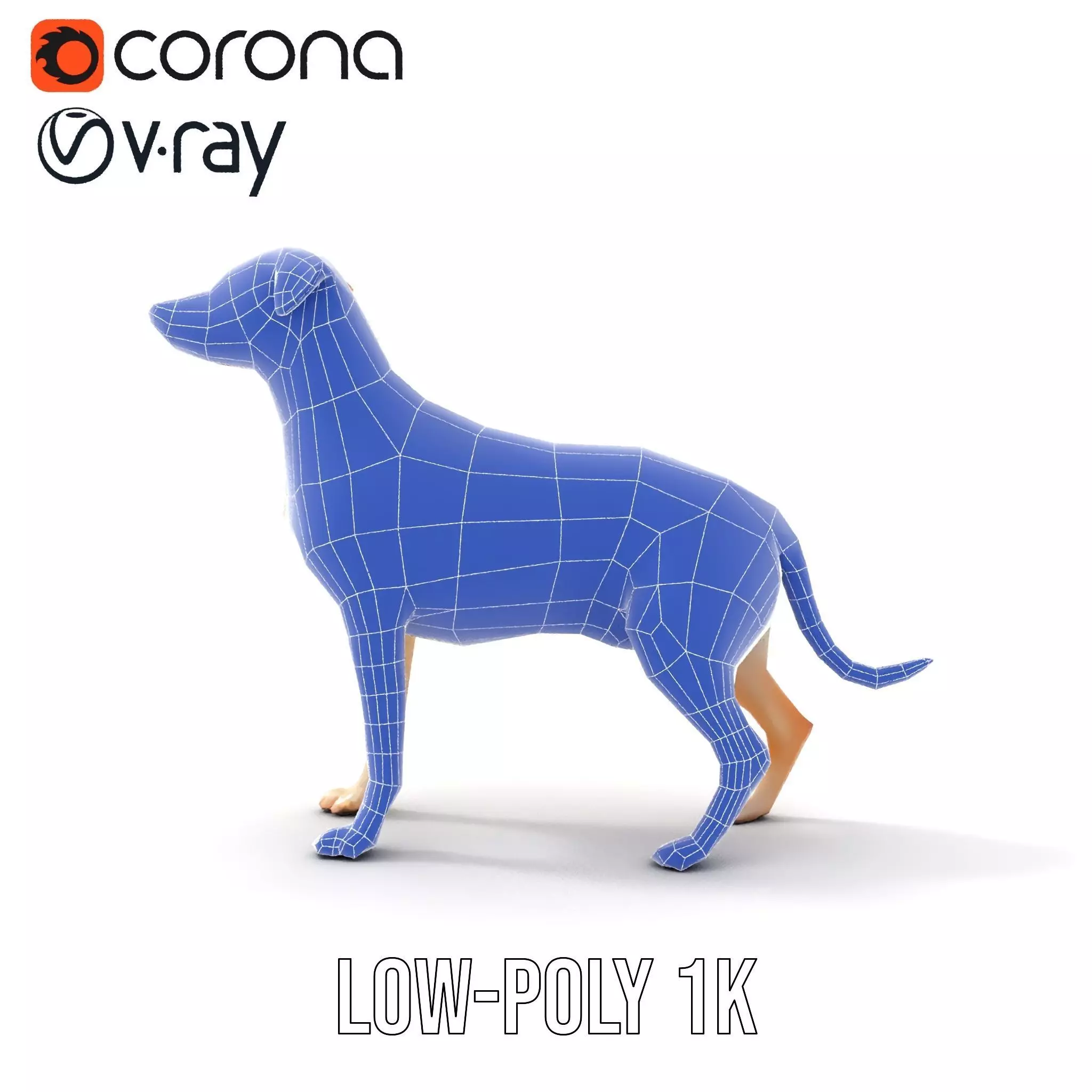 Jack Russell Terrier model pack Low-poly 3D model_20