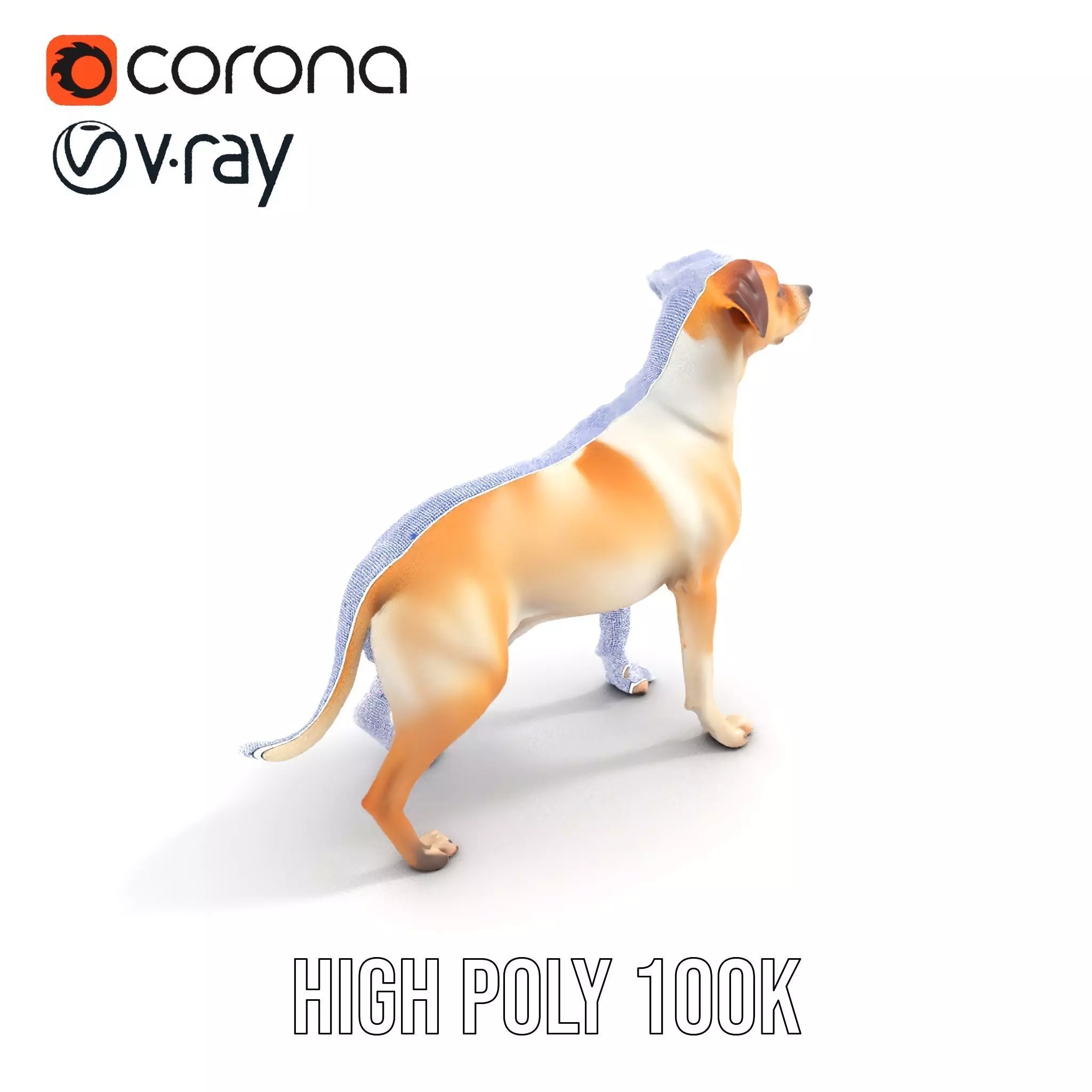 Jack Russell Terrier model pack Low-poly 3D model_32