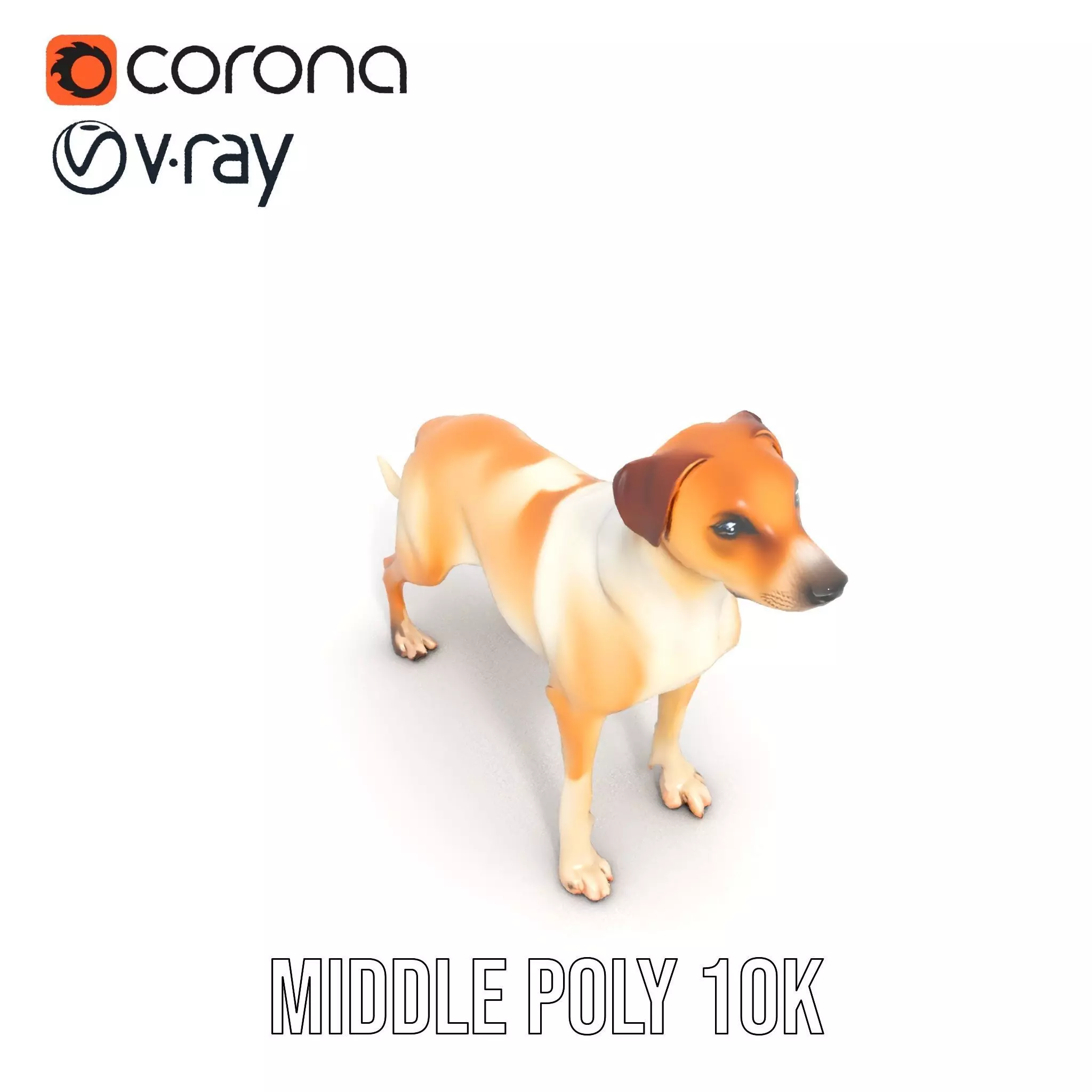 Jack Russell Terrier model pack Low-poly 3D model_14