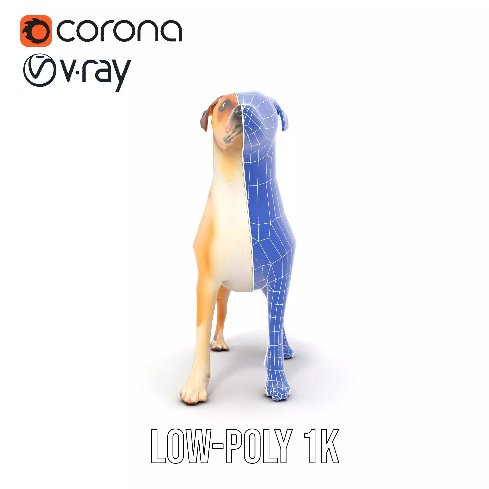 Jack Russell Terrier model pack Low-poly 3D model_31