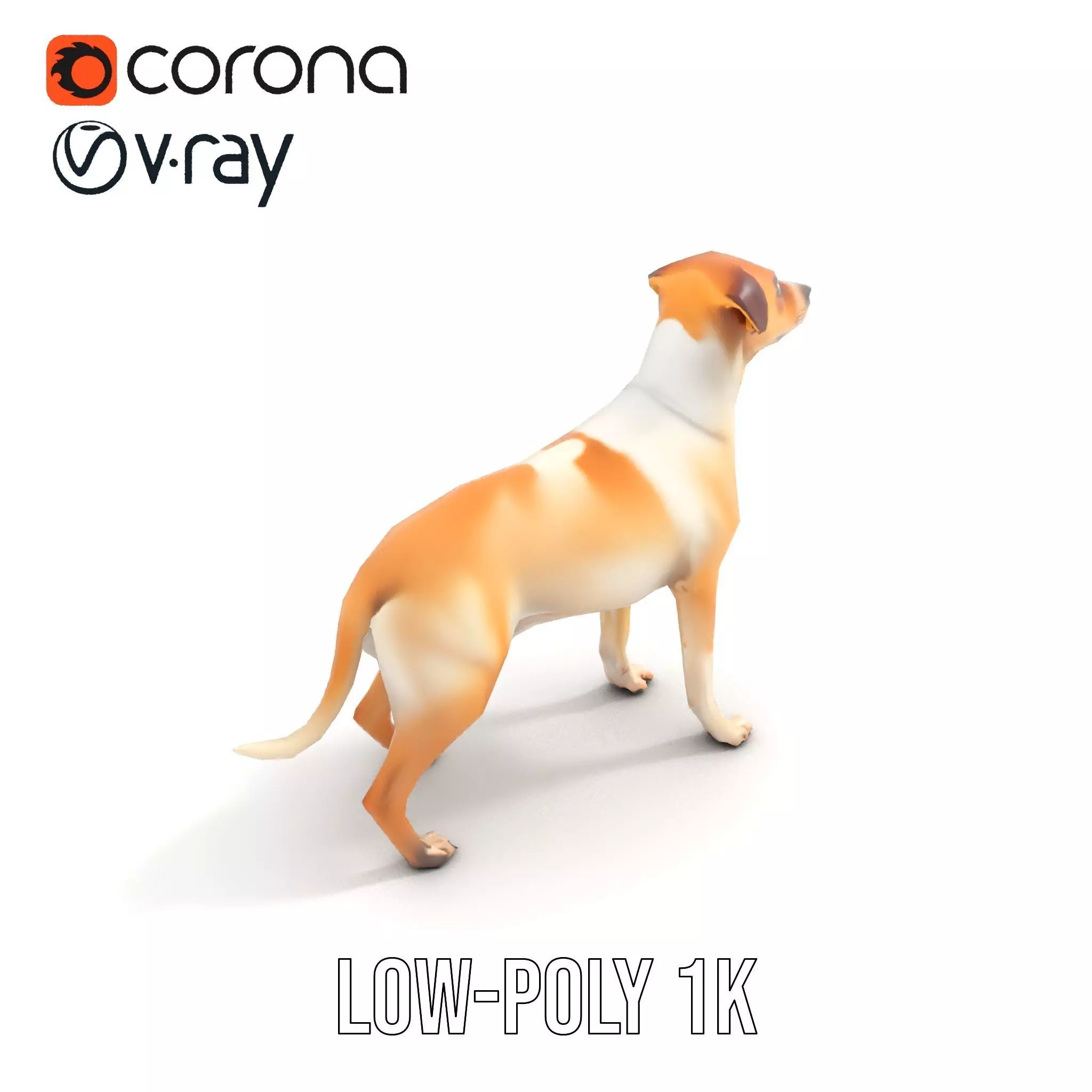 Jack Russell Terrier model pack Low-poly 3D model_10