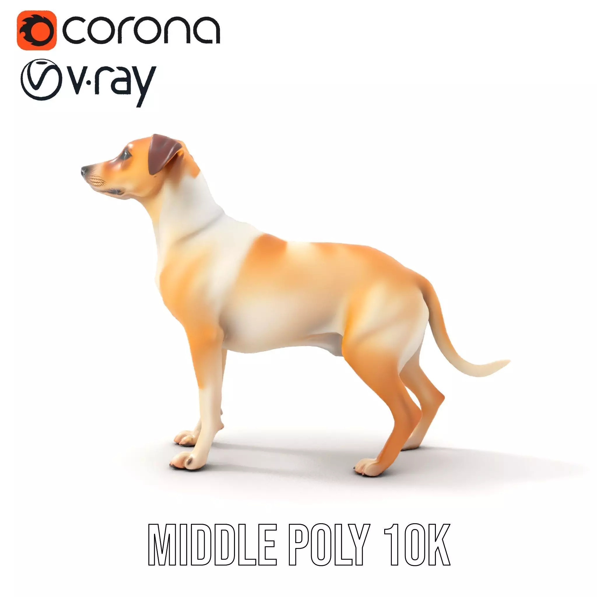 Jack Russell Terrier model pack Low-poly 3D model_7