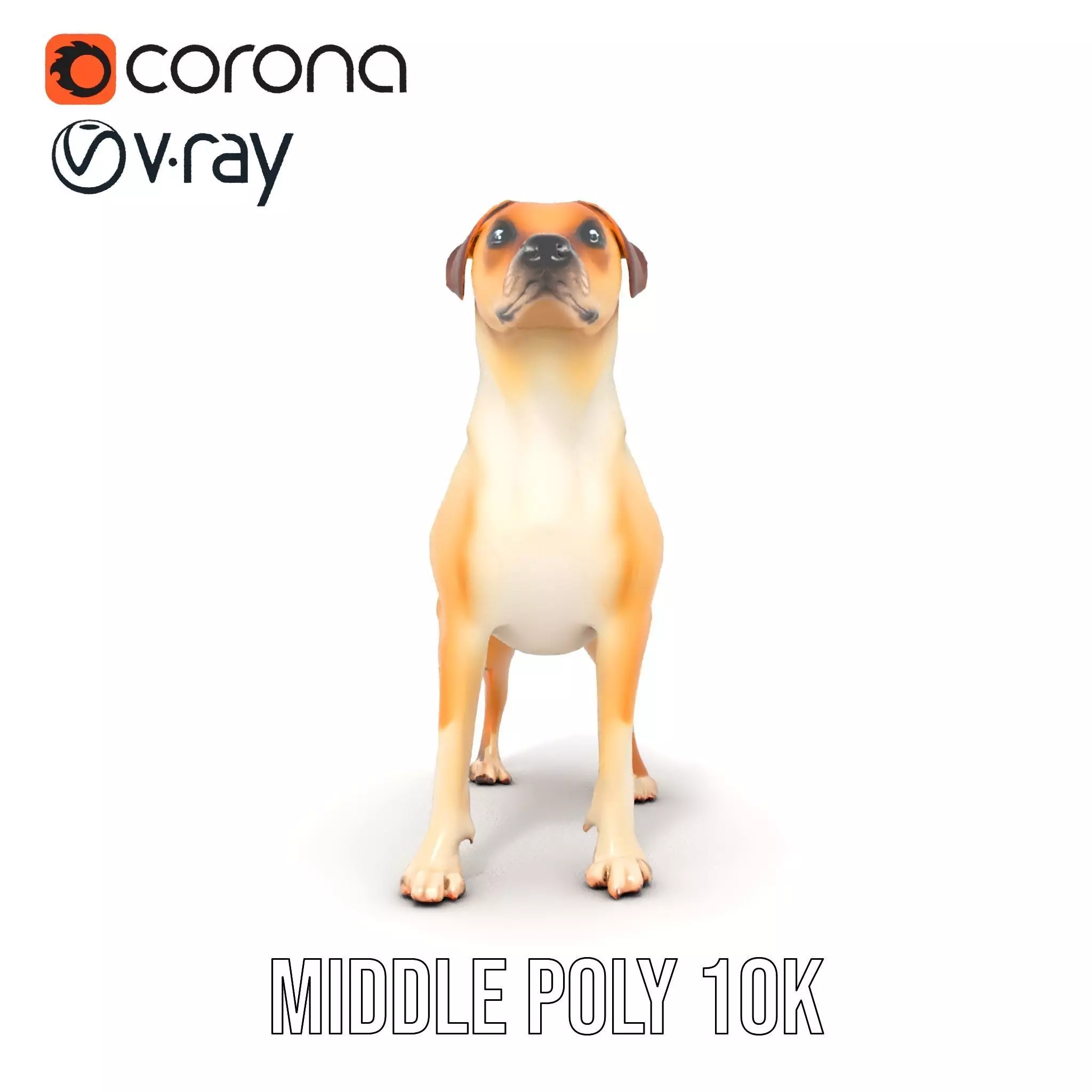 Jack Russell Terrier model pack Low-poly 3D model_6