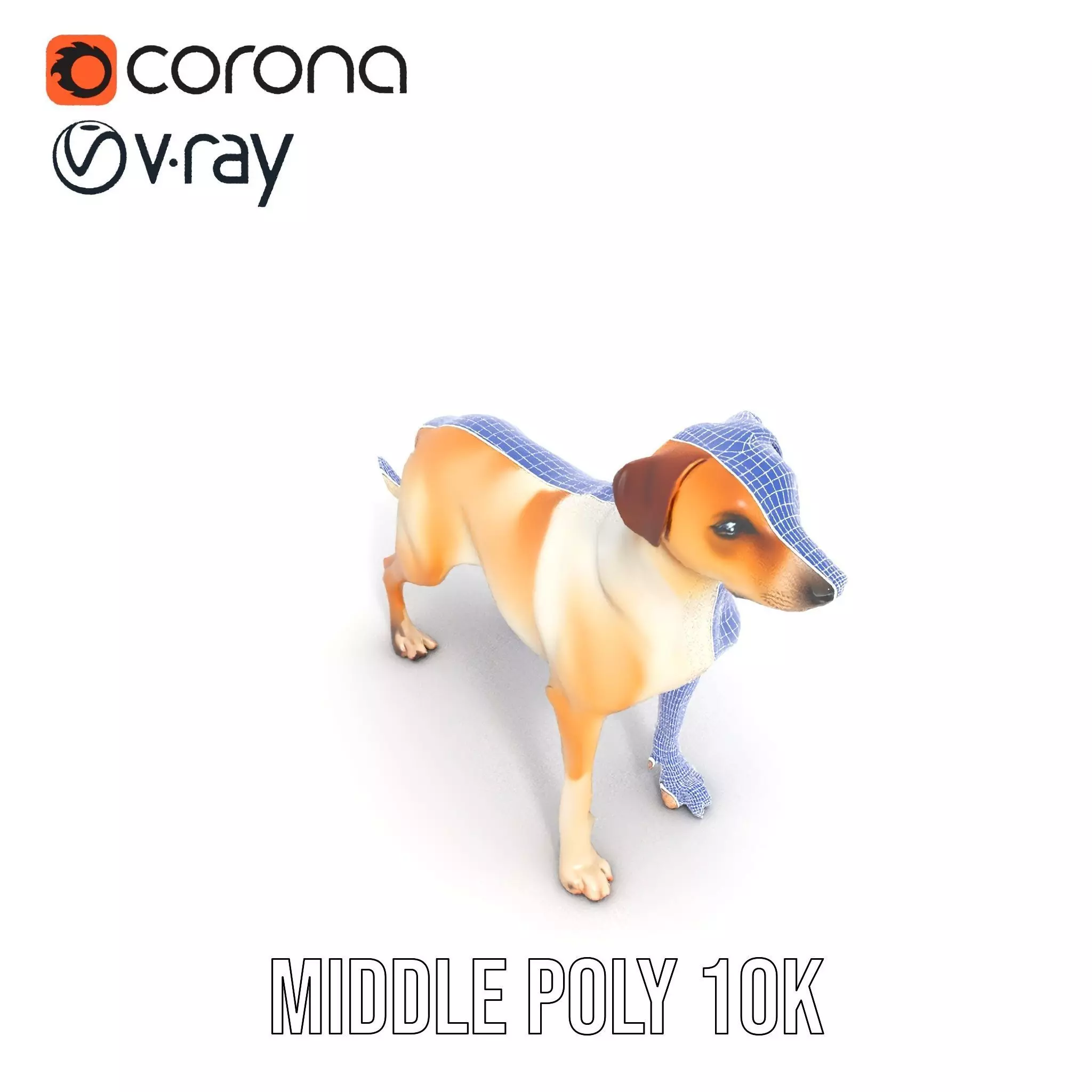 Jack Russell Terrier model pack Low-poly 3D model_22