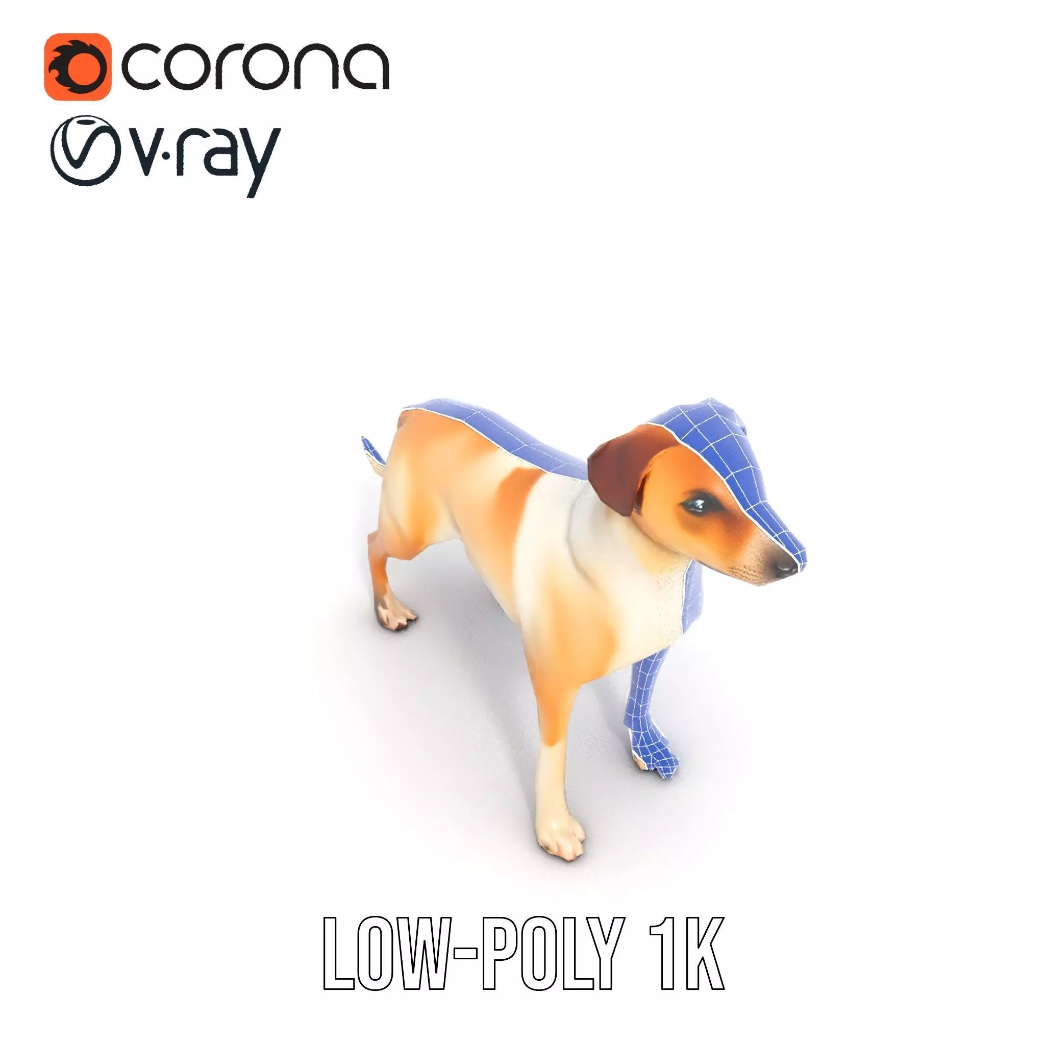 Jack Russell Terrier model pack Low-poly 3D model_25