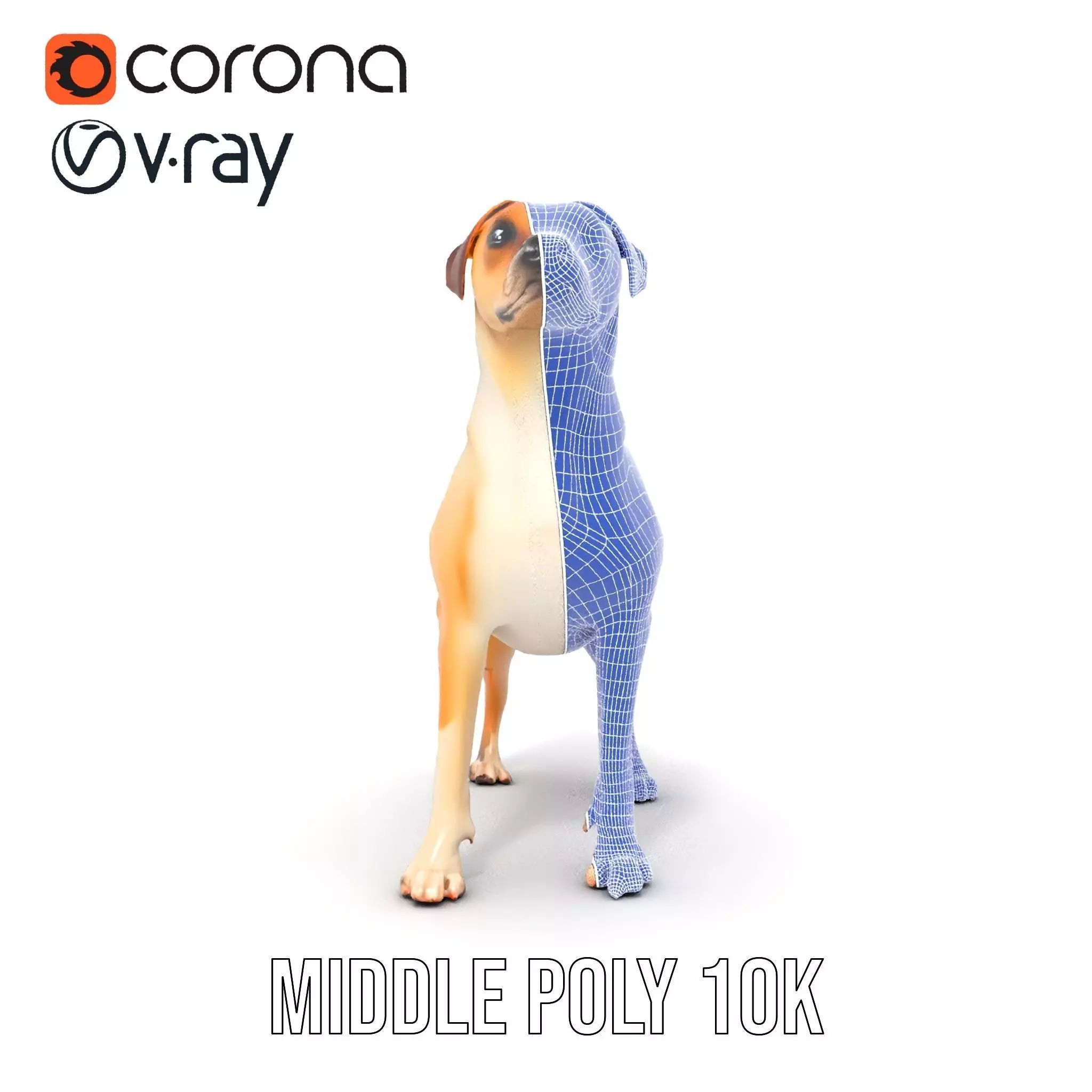 Jack Russell Terrier model pack Low-poly 3D model_27