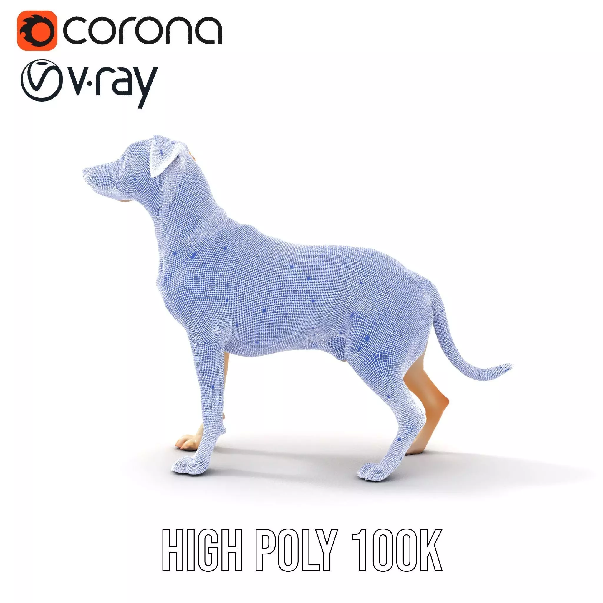 Jack Russell Terrier model pack Low-poly 3D model_34