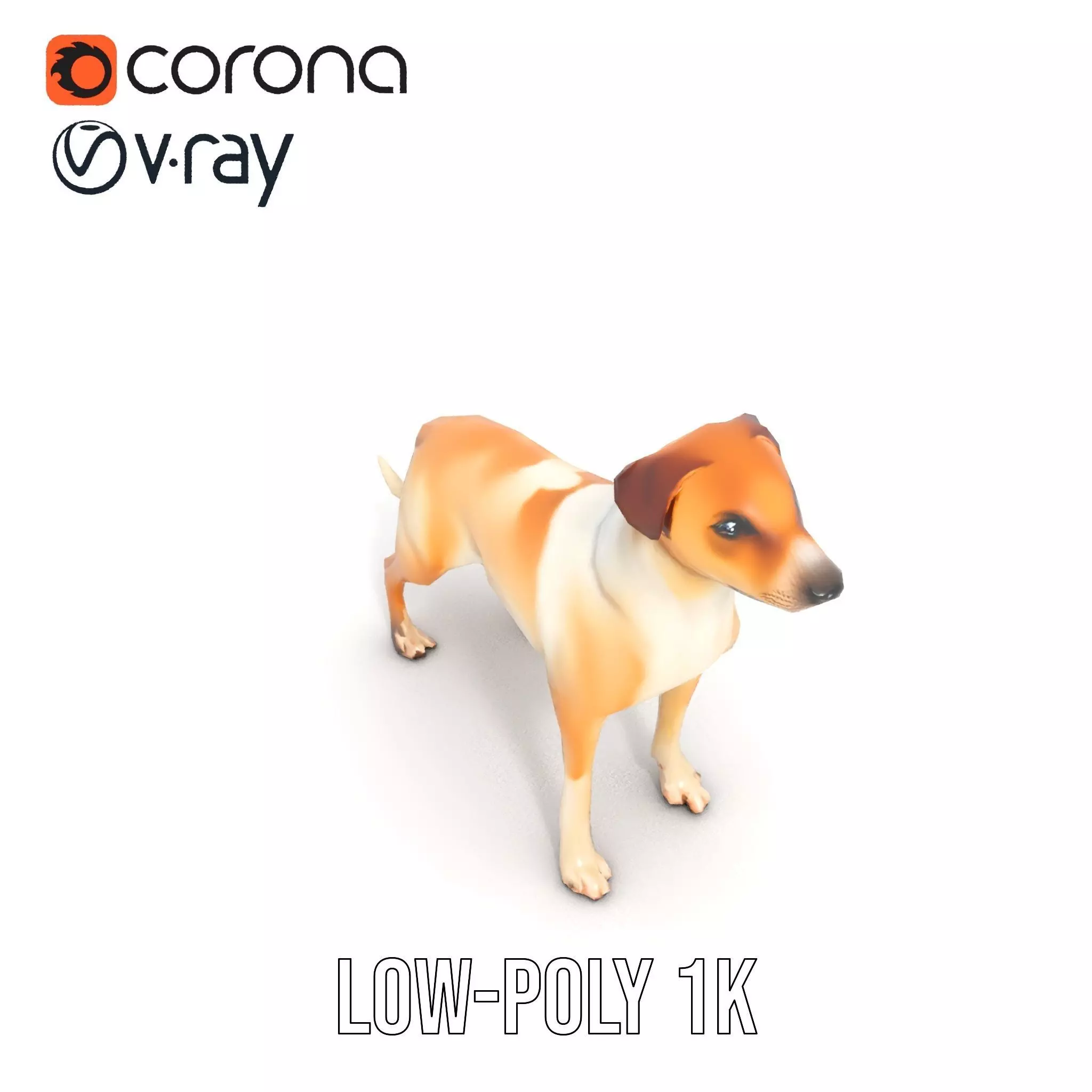 Jack Russell Terrier model pack Low-poly 3D model_13