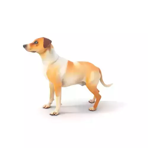 Jack Russell Terrier model pack