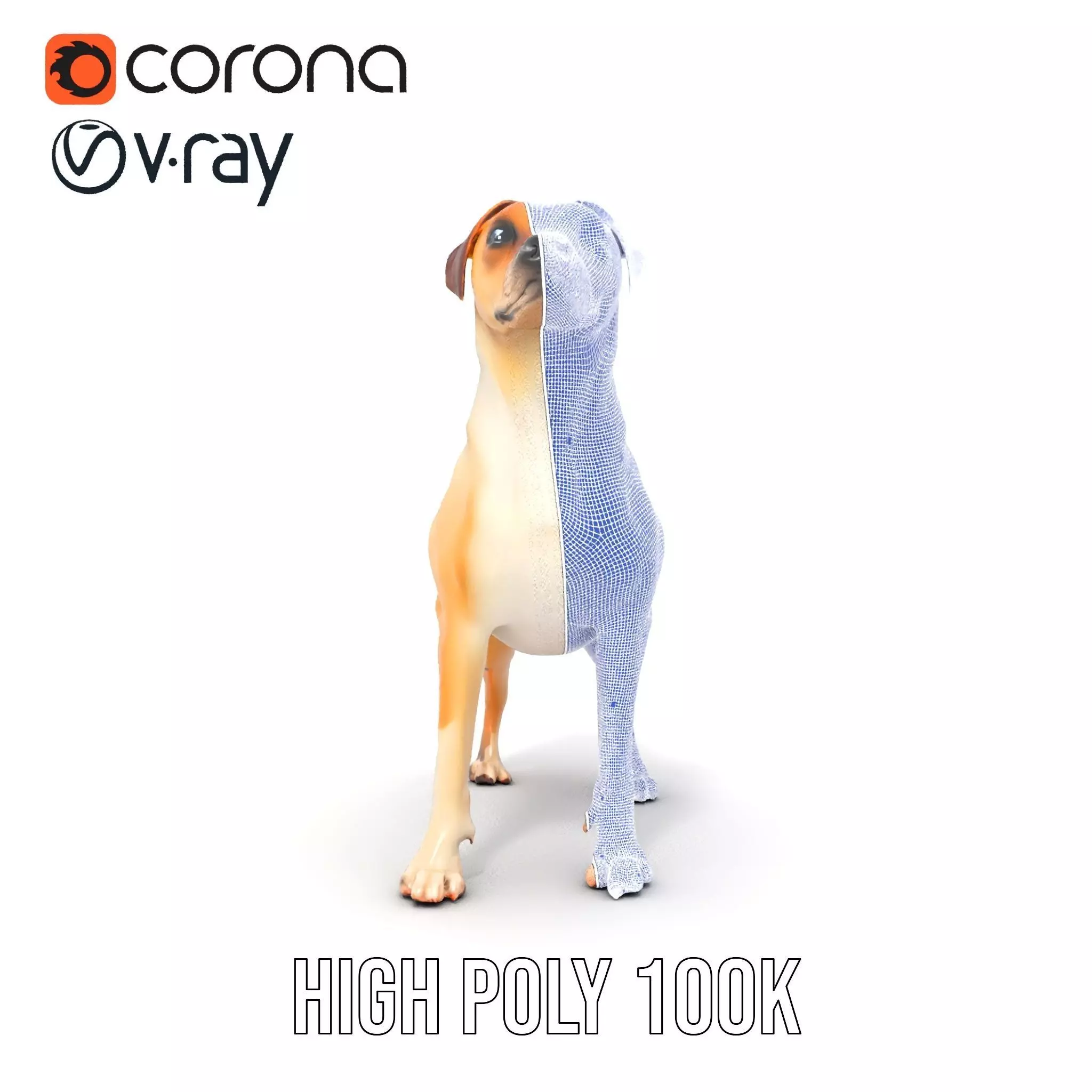 Jack Russell Terrier model pack Low-poly 3D model_35