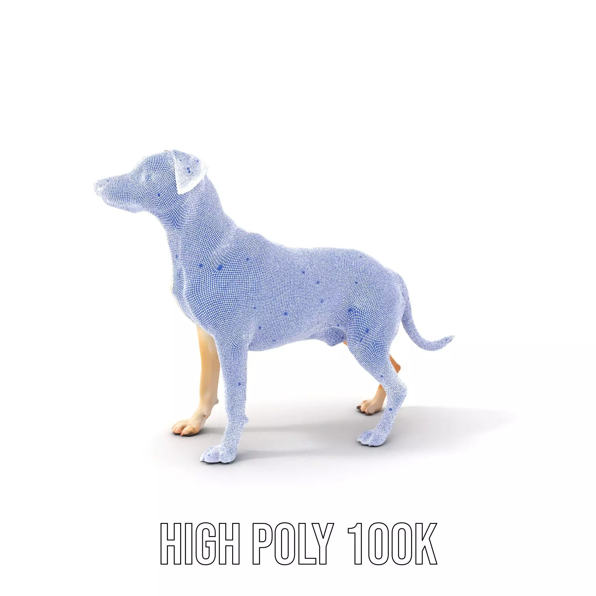 Jack Russell Terrier model pack Low-poly 3D model_5