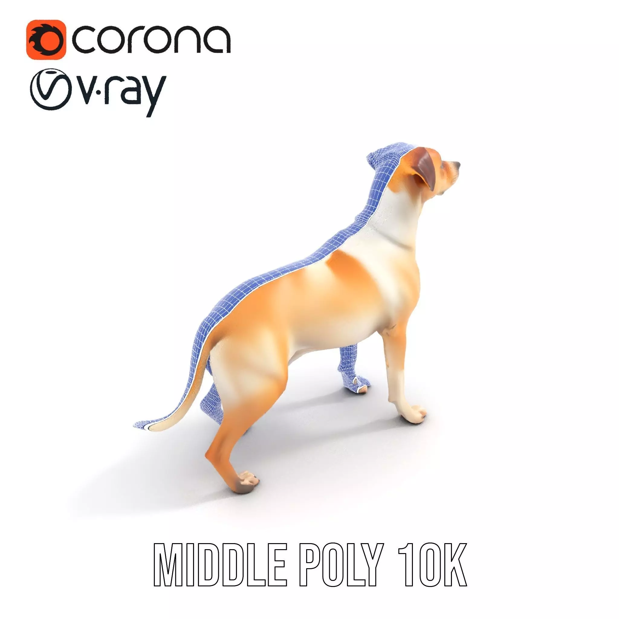 Jack Russell Terrier model pack Low-poly 3D model_24