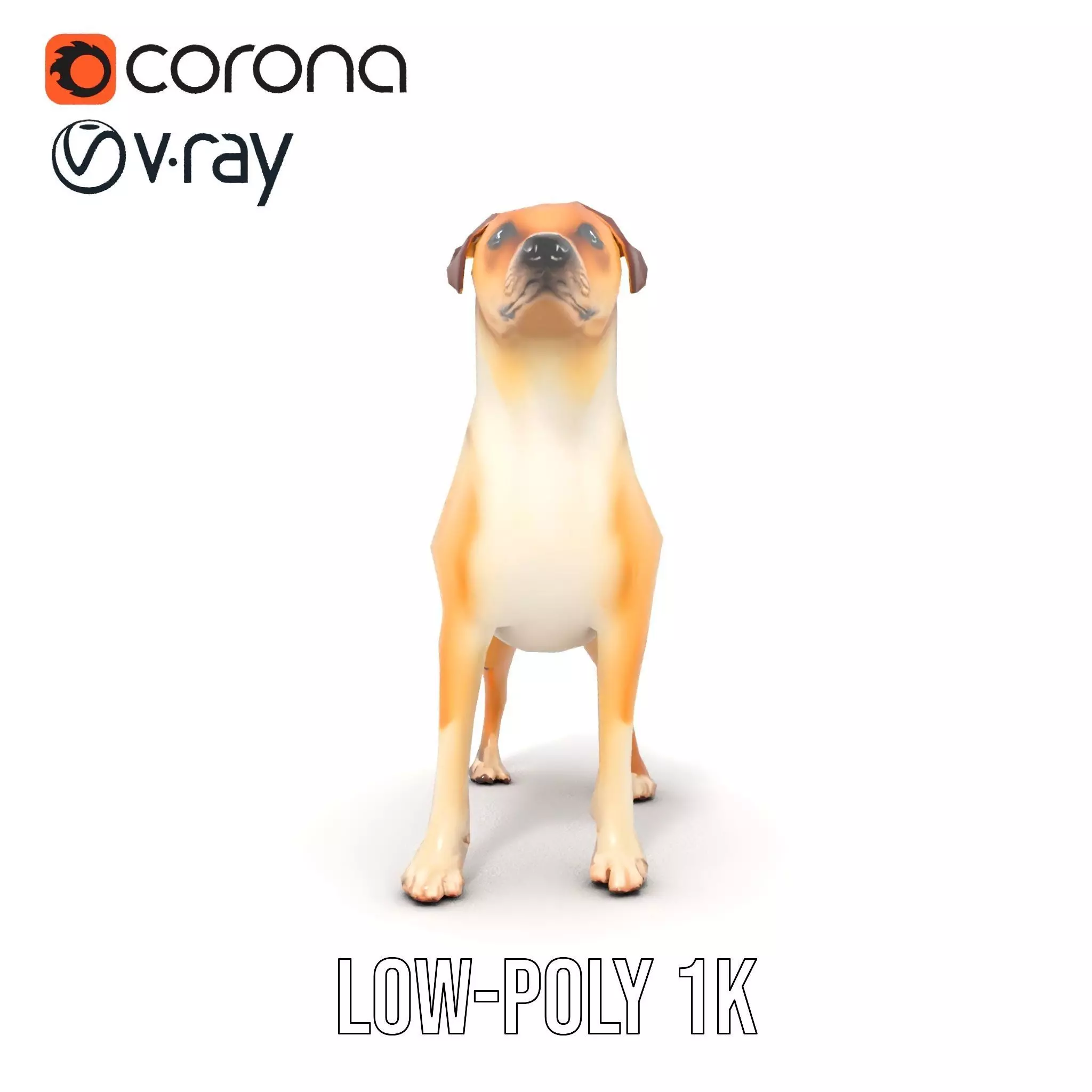 Jack Russell Terrier model pack Low-poly 3D model_8