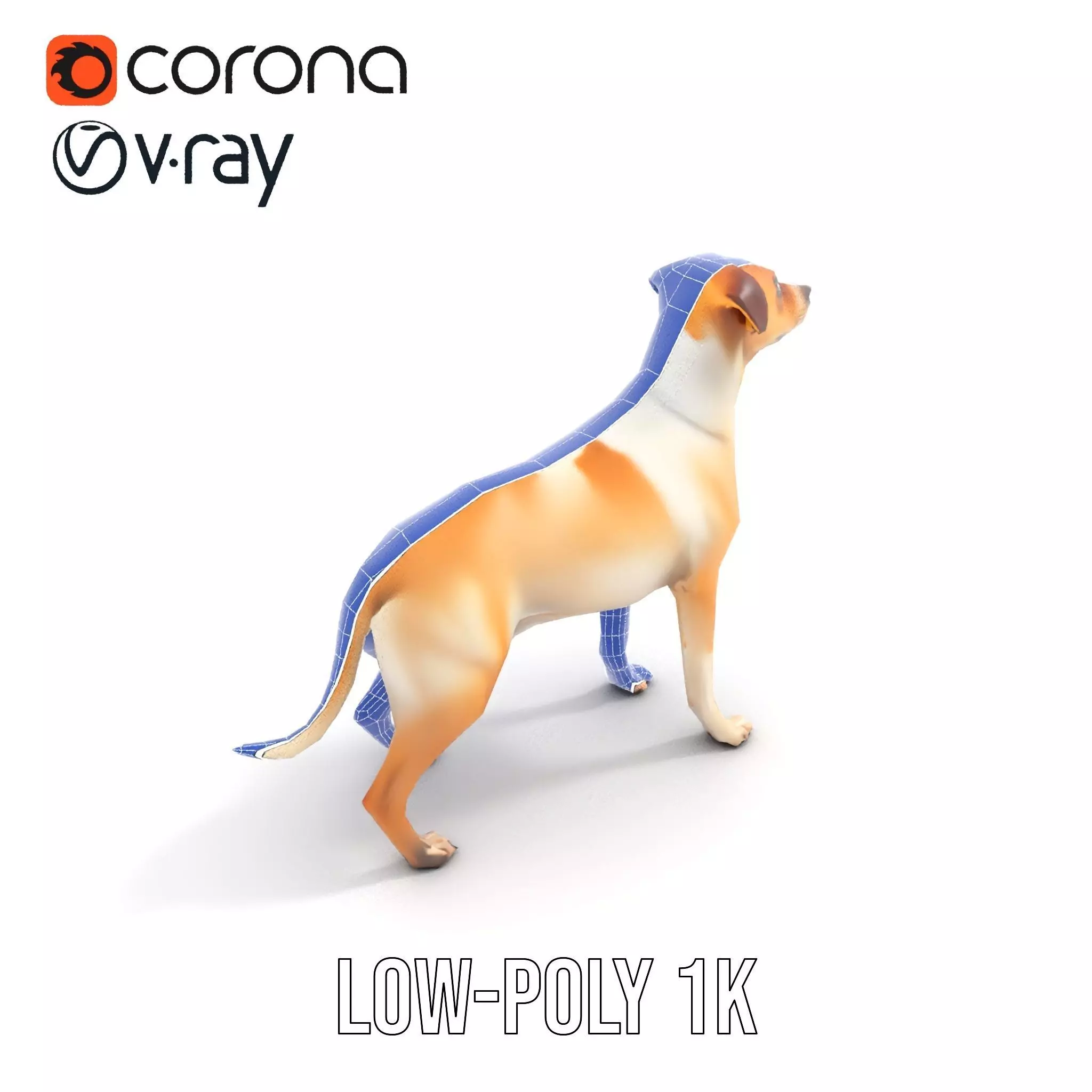 Jack Russell Terrier model pack Low-poly 3D model_18