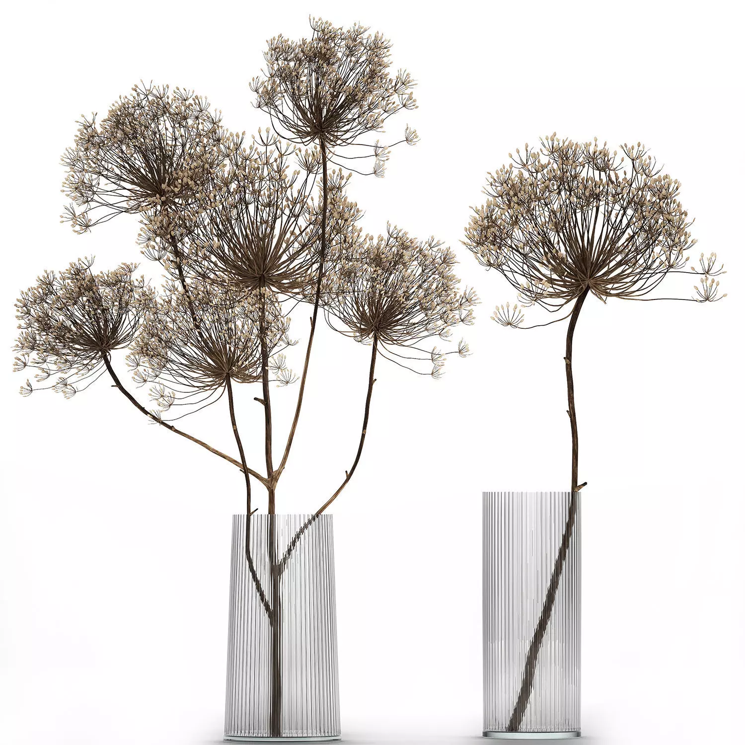 Bouquets hydrangea peony hogweed branches vase 638 3D model_8