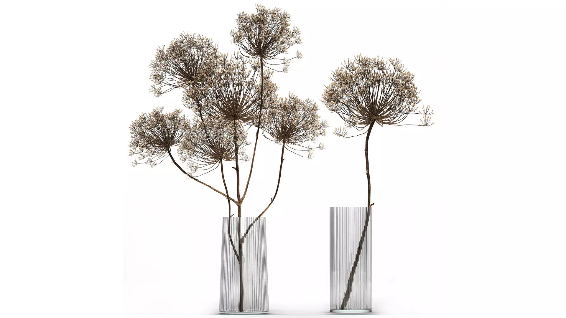 Bouquets hydrangea peony hogweed branches vase 638 3D model_2