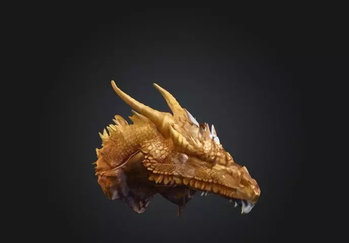 legeng golden dragon 3D print model_0