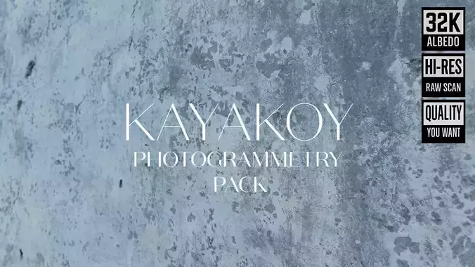 Abandoned Village Surface Scan - Plaster 04