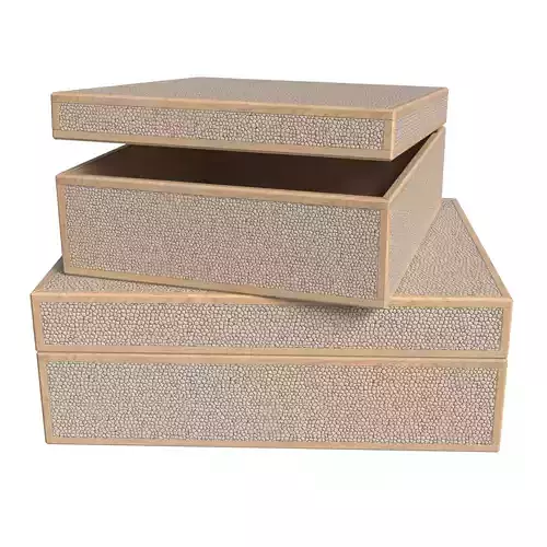 Cooper Box Set Sand Shagreen by Made Goods 3D model