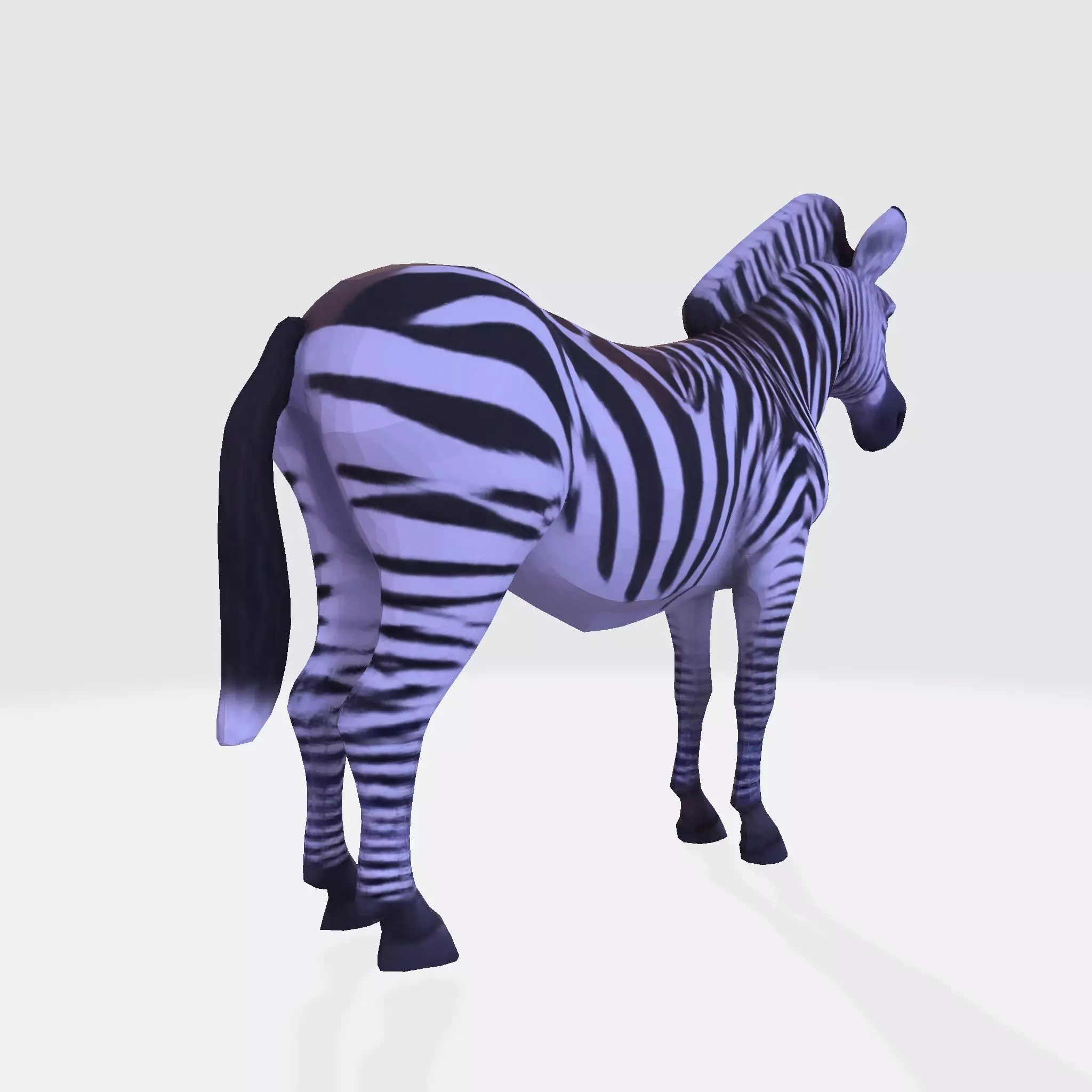 Realistic Zebra 3D Model Rigging Ready Printable Game Low-poly 3D model_5