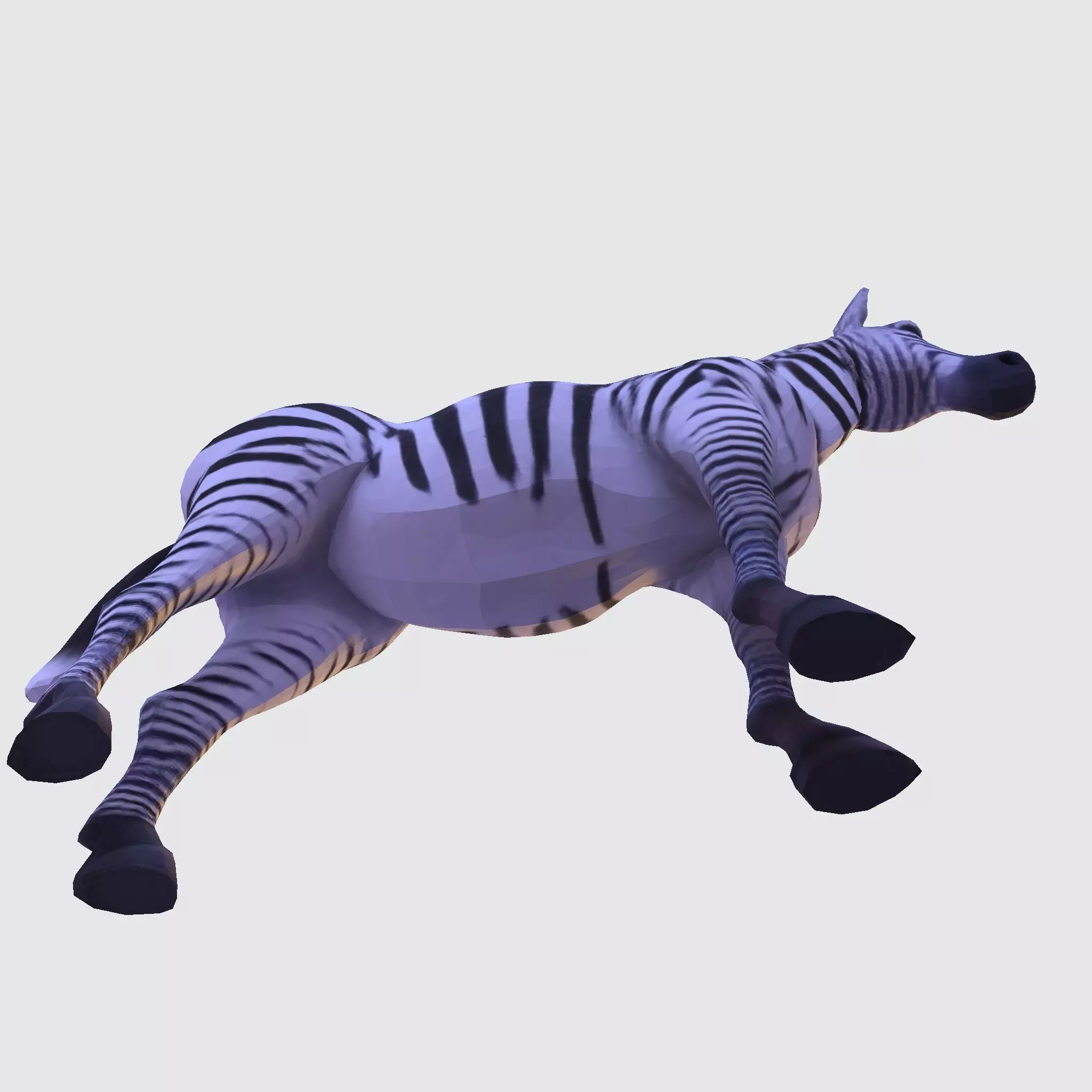 Realistic Zebra 3D Model Rigging Ready Printable Game Low-poly 3D model_13