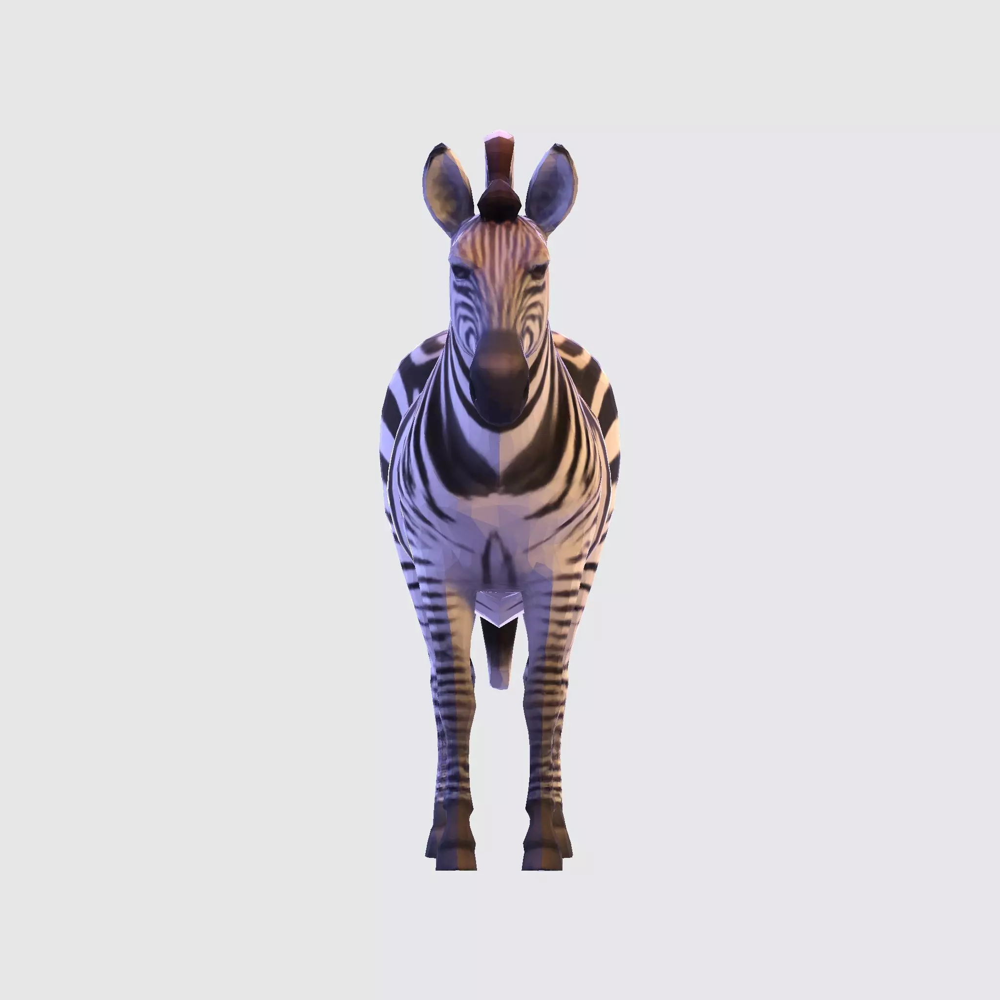 Realistic Zebra 3D Model Rigging Ready Printable Game Low-poly 3D model_15