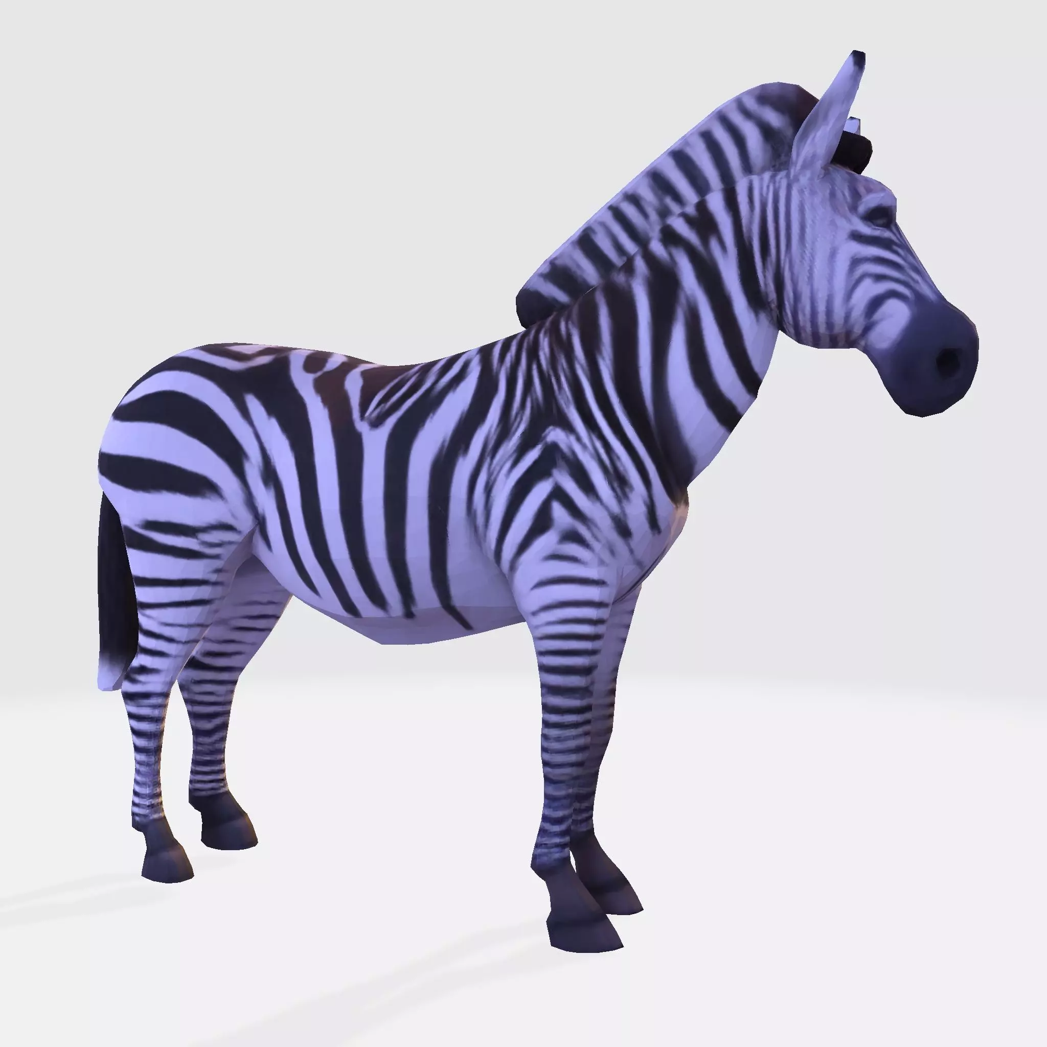 Realistic Zebra 3D Model Rigging Ready Printable Game Low-poly 3D model_7