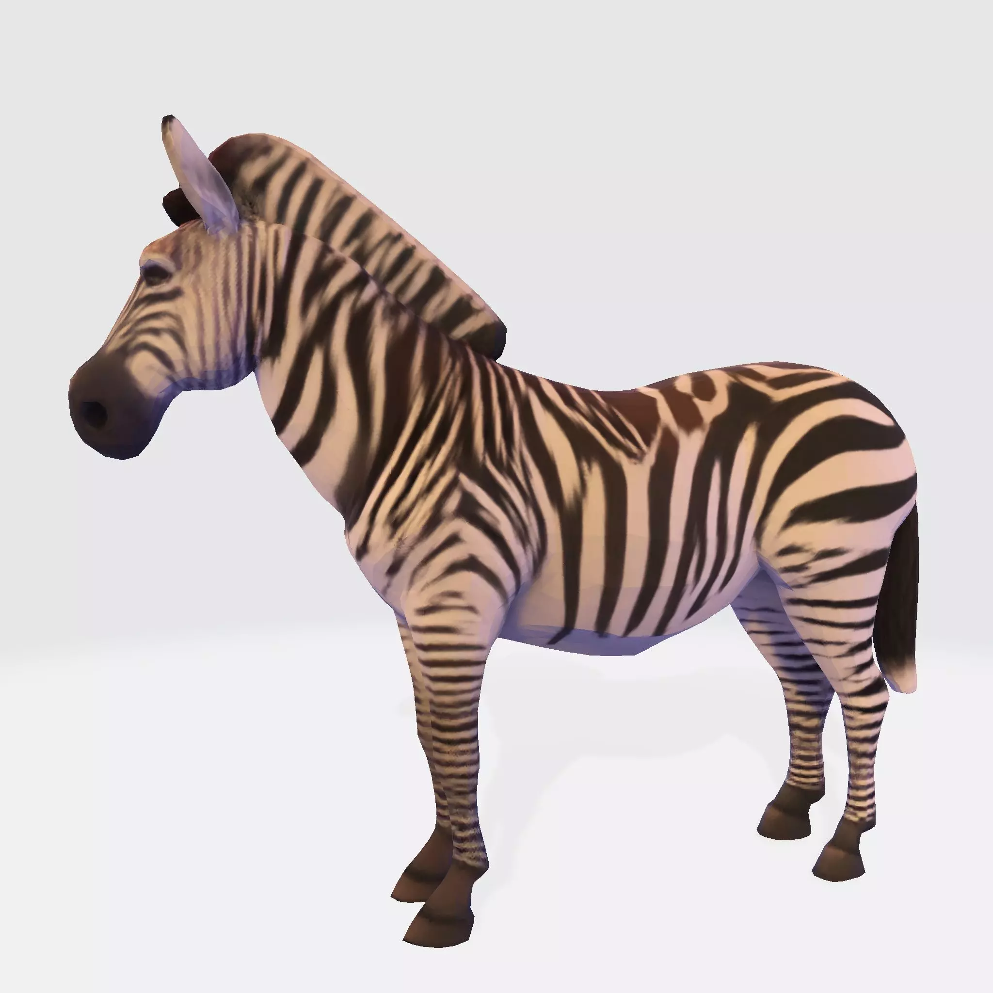 Realistic Zebra 3D Model Rigging Ready Printable Game Low-poly 3D model_1