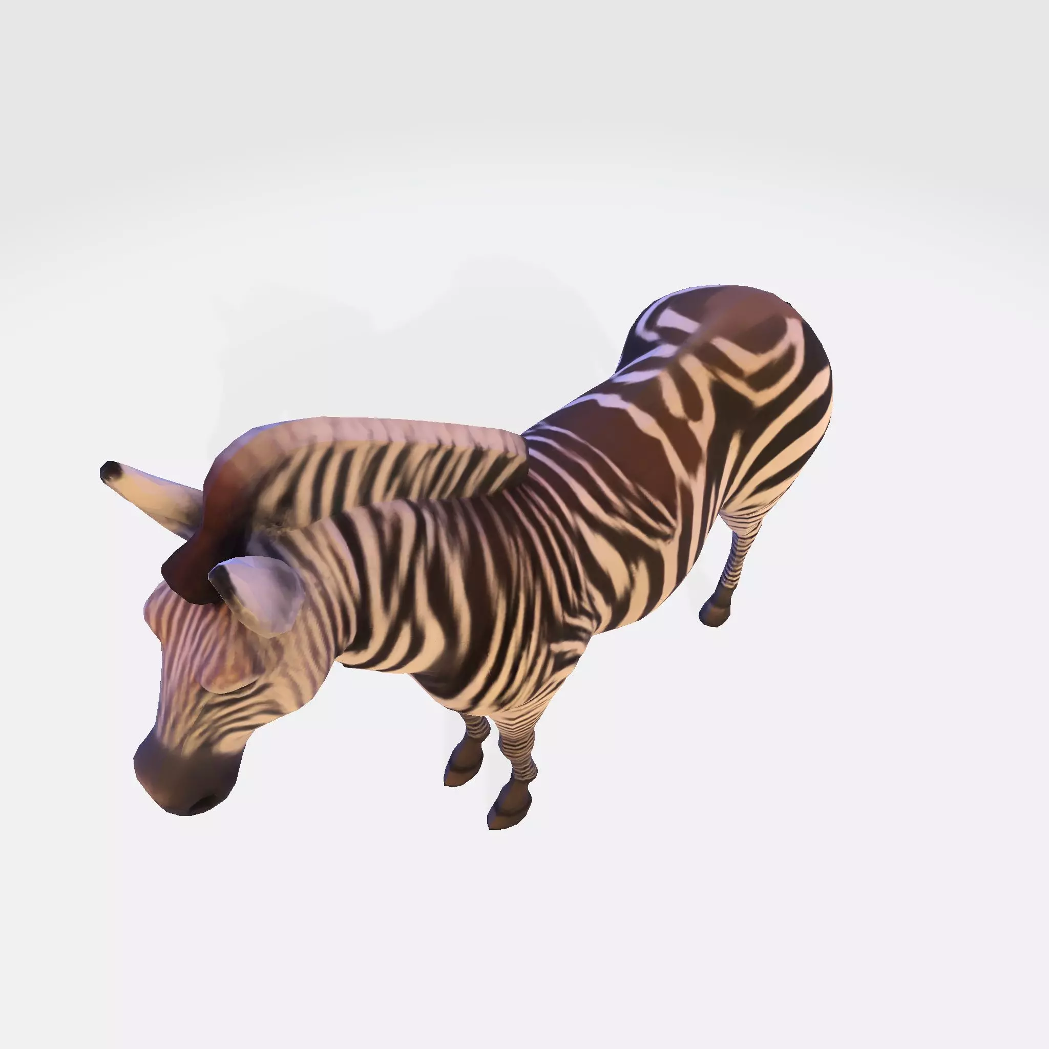 Realistic Zebra 3D Model Rigging Ready Printable Game Low-poly 3D model_11