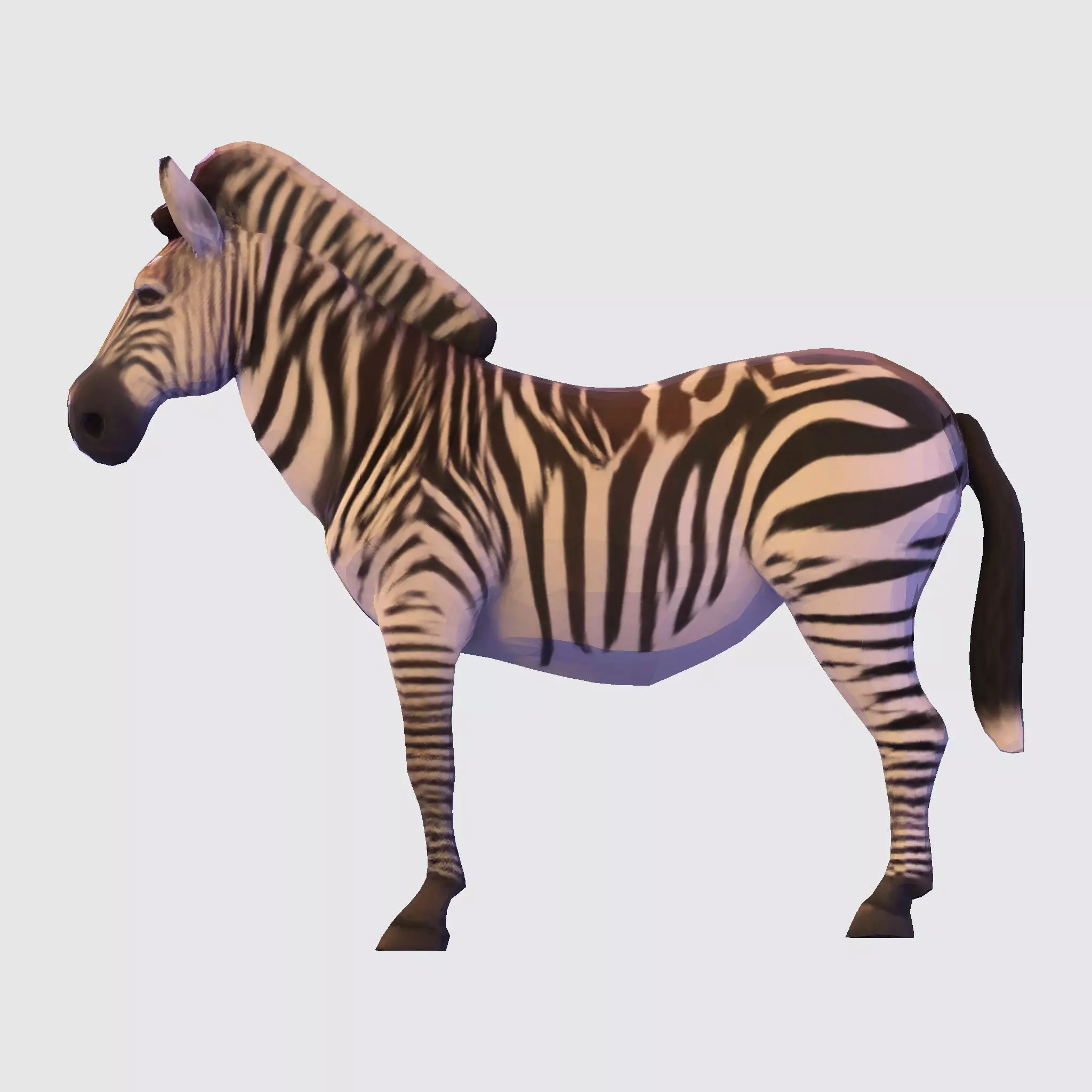 Realistic Zebra 3D Model Rigging Ready Printable Game Low-poly 3D model_16
