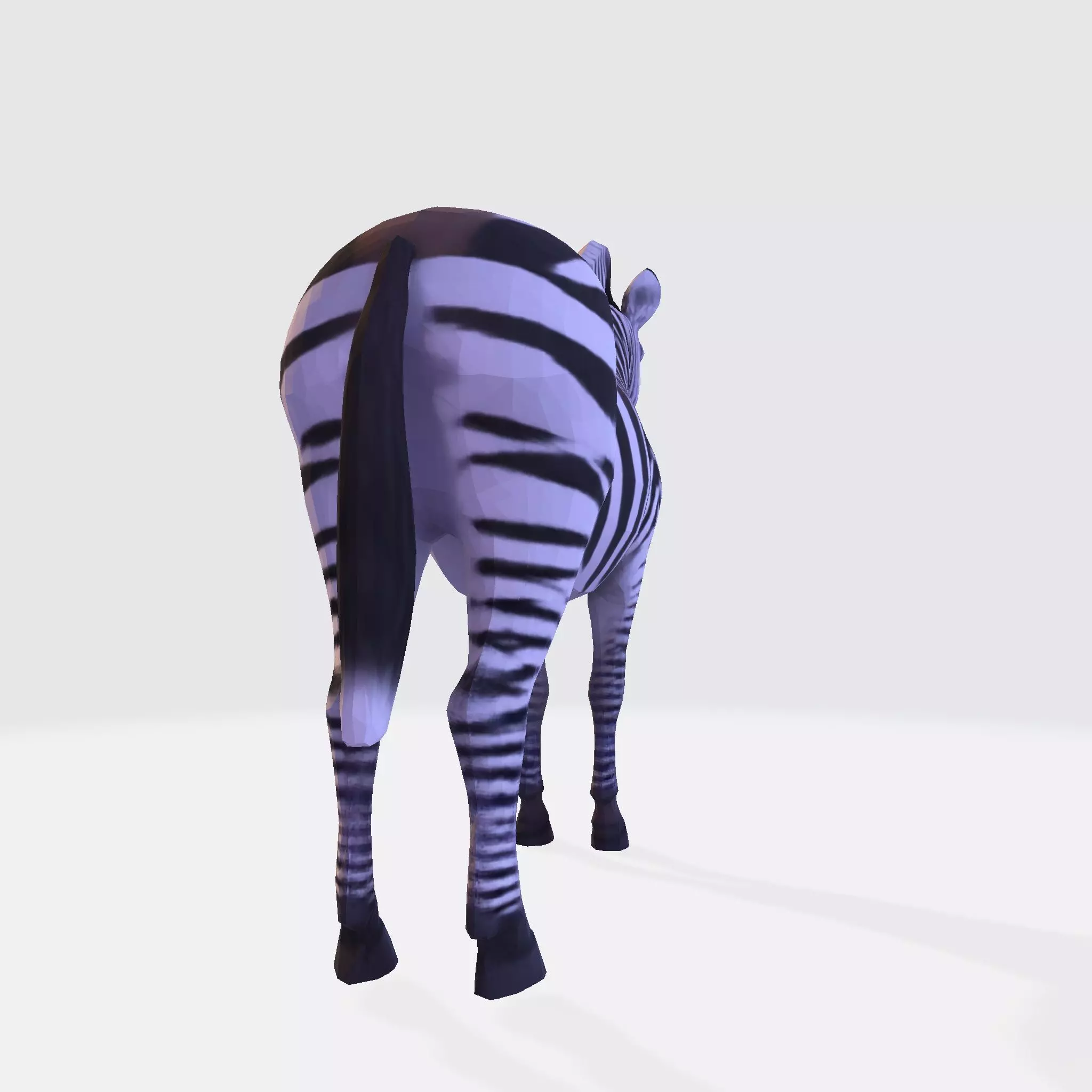 Realistic Zebra 3D Model Rigging Ready Printable Game Low-poly 3D model_4