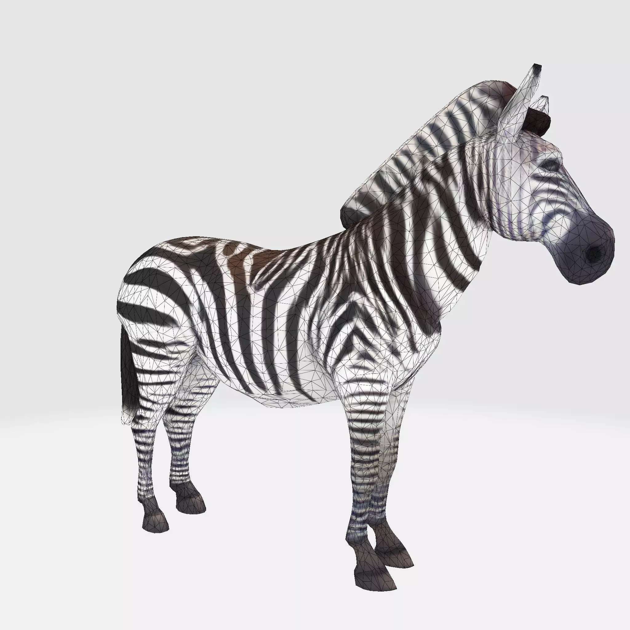 Realistic Zebra 3D Model Rigging Ready Printable Game Low-poly 3D model_22